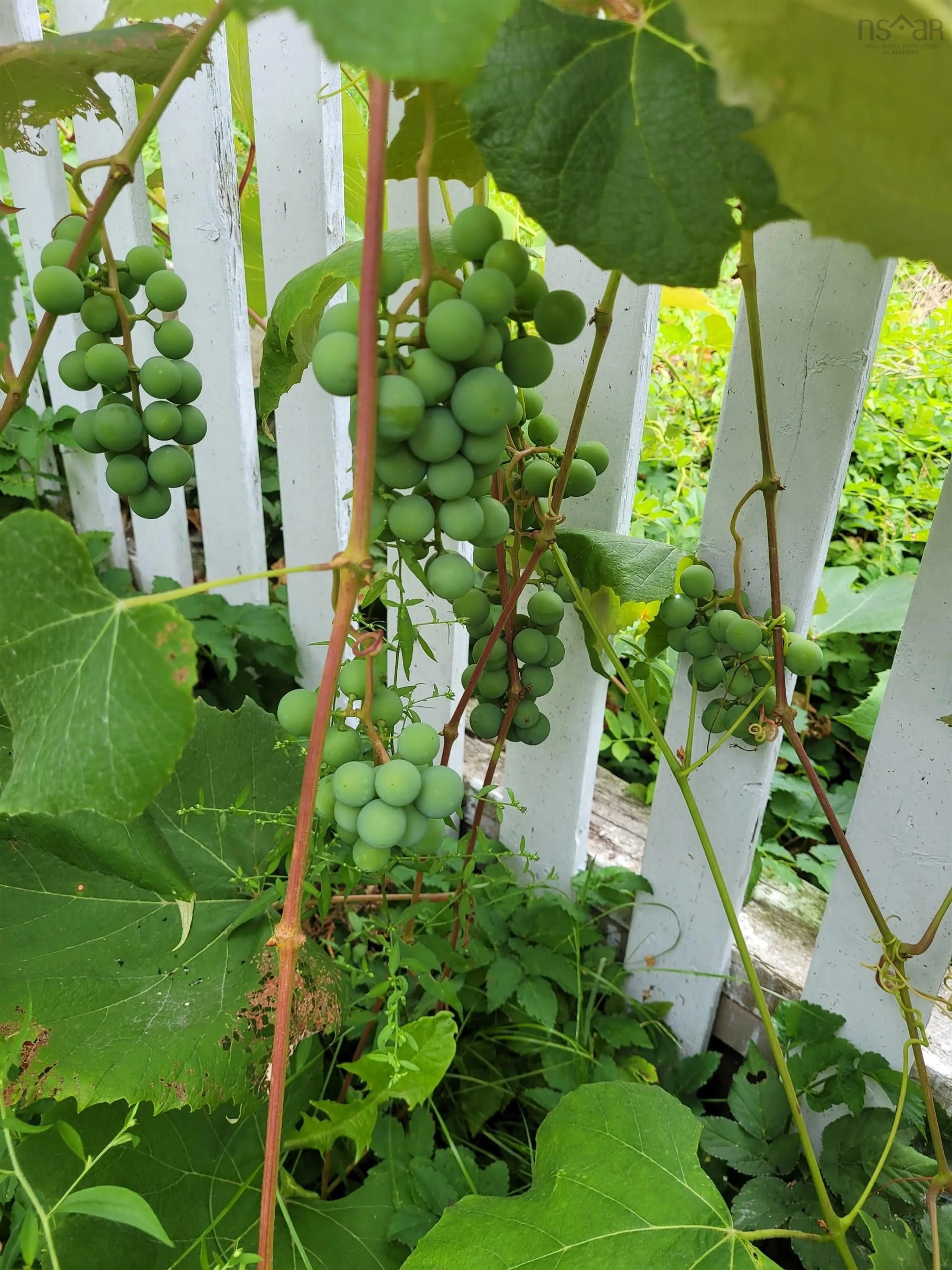 Patio, street for 52 Regal Rd, Dartmouth Nova Scotia B2W 4H6