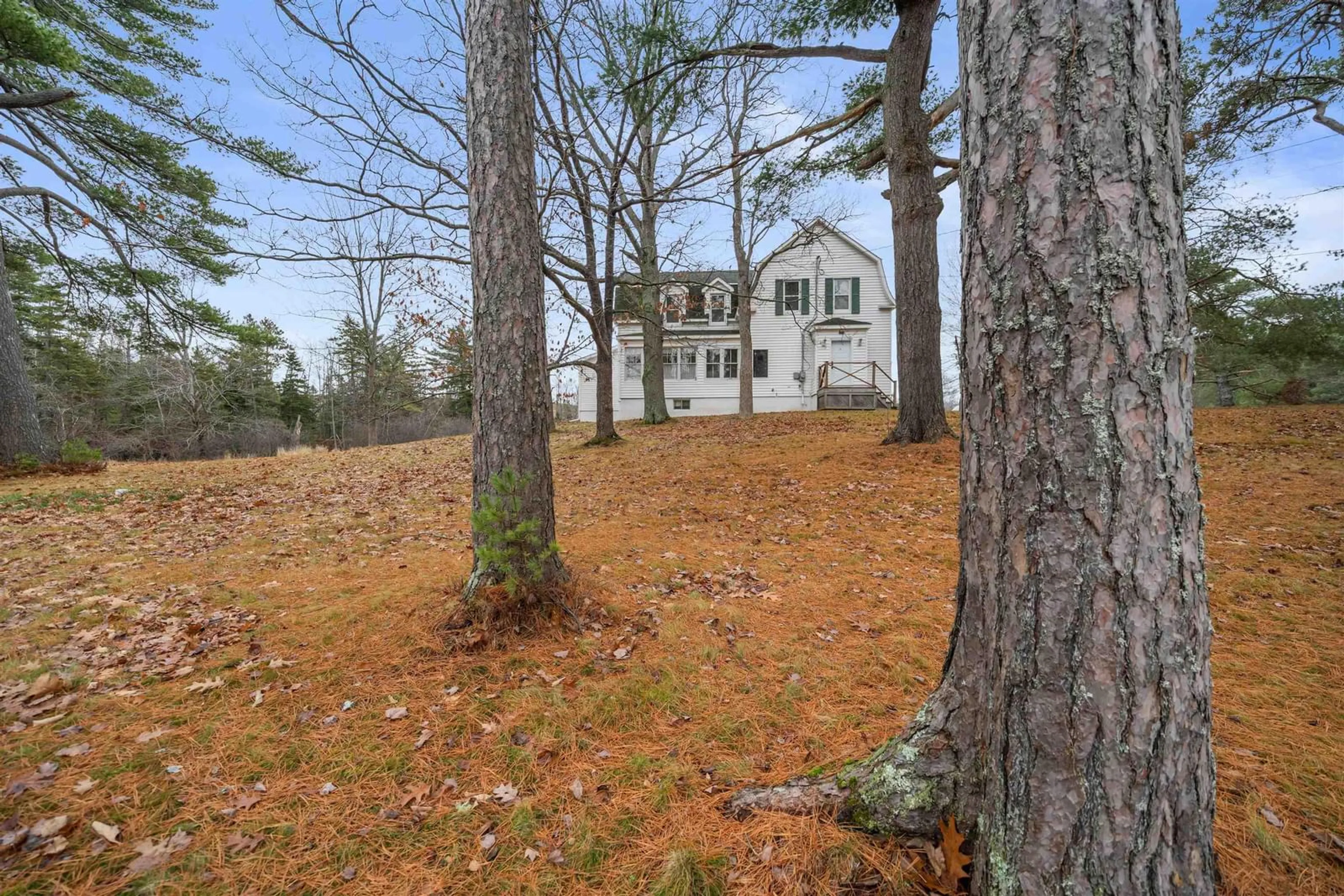 A pic from outside/outdoor area/front of a property/back of a property/a pic from drone, forest/trees view for 1273 North Main St, Westville Nova Scotia B0K 2A0