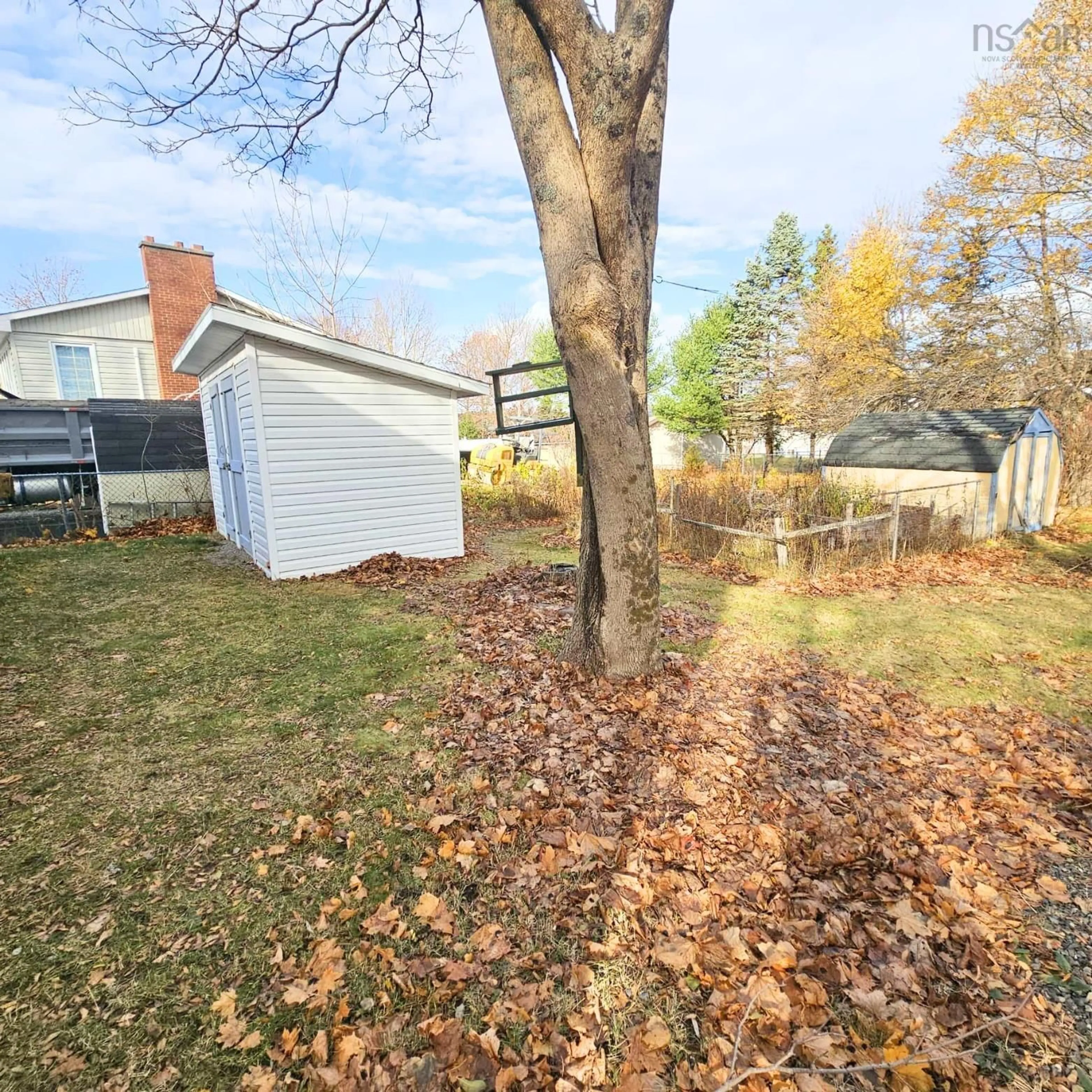 Shed for 135-137 Brook St, North Sydney Nova Scotia B2A 3R4