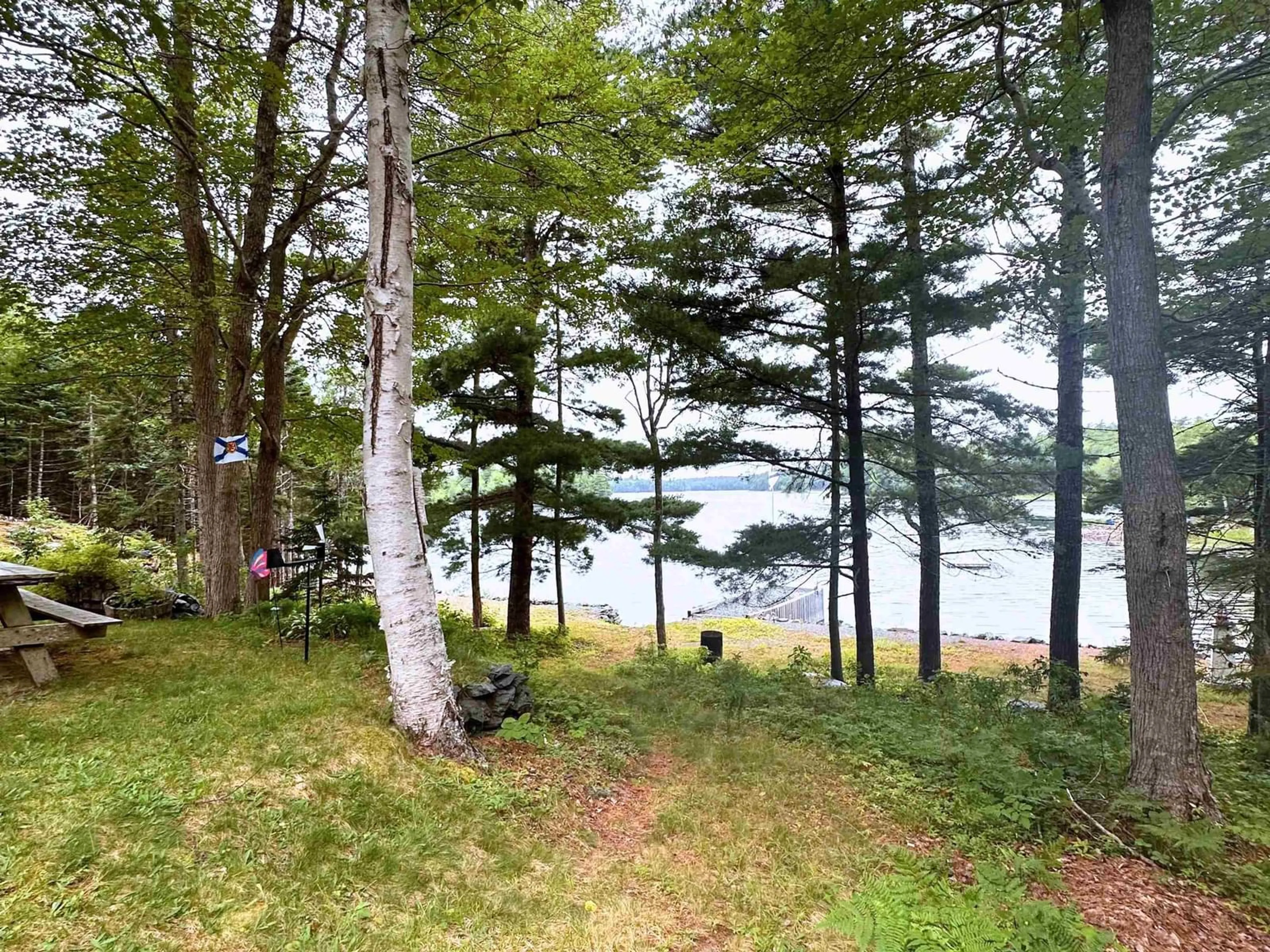 A pic from outside/outdoor area/front of a property/back of a property/a pic from drone, water/lake/river/ocean view for 256 Dean Lake Rd, Westfield Nova Scotia B0T 1B0