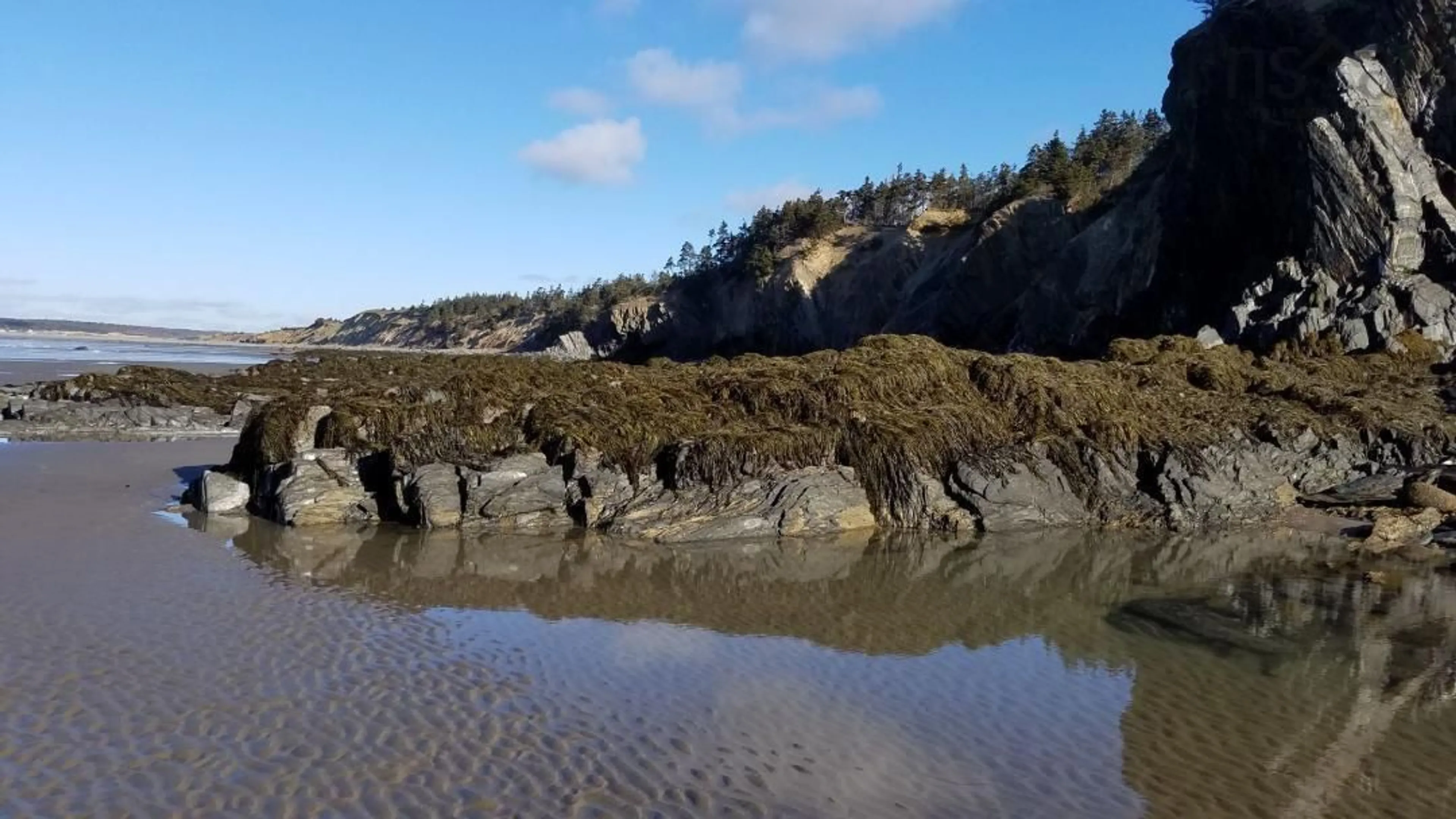 Blurry image for 11 Cape Saint Marys Rd, Cape St Marys Nova Scotia B5A 5B4