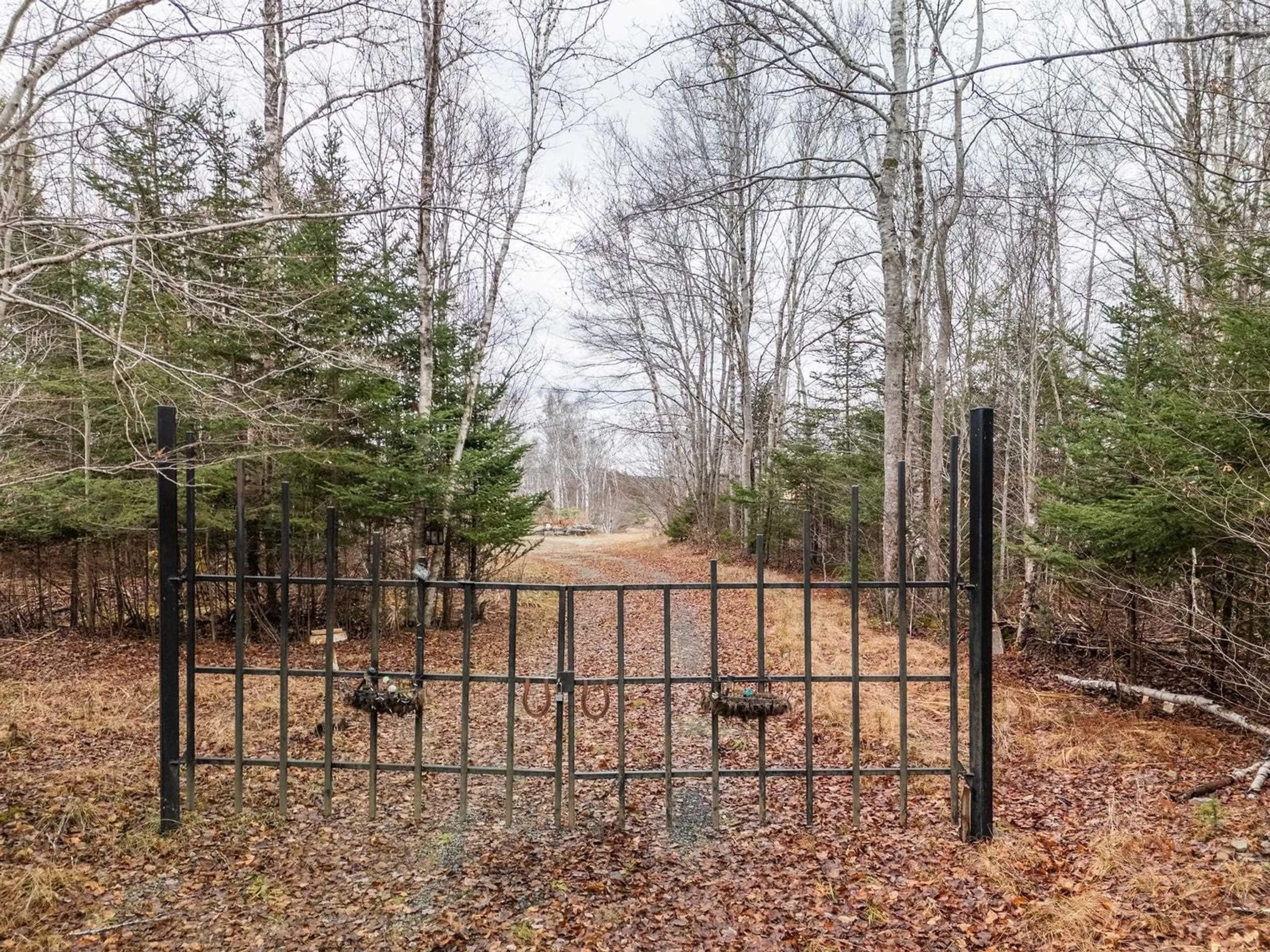 A pic from outside/outdoor area/front of a property/back of a property/a pic from drone, forest/trees view for 3636 Highway 340, Carleton Nova Scotia B5A 5P8