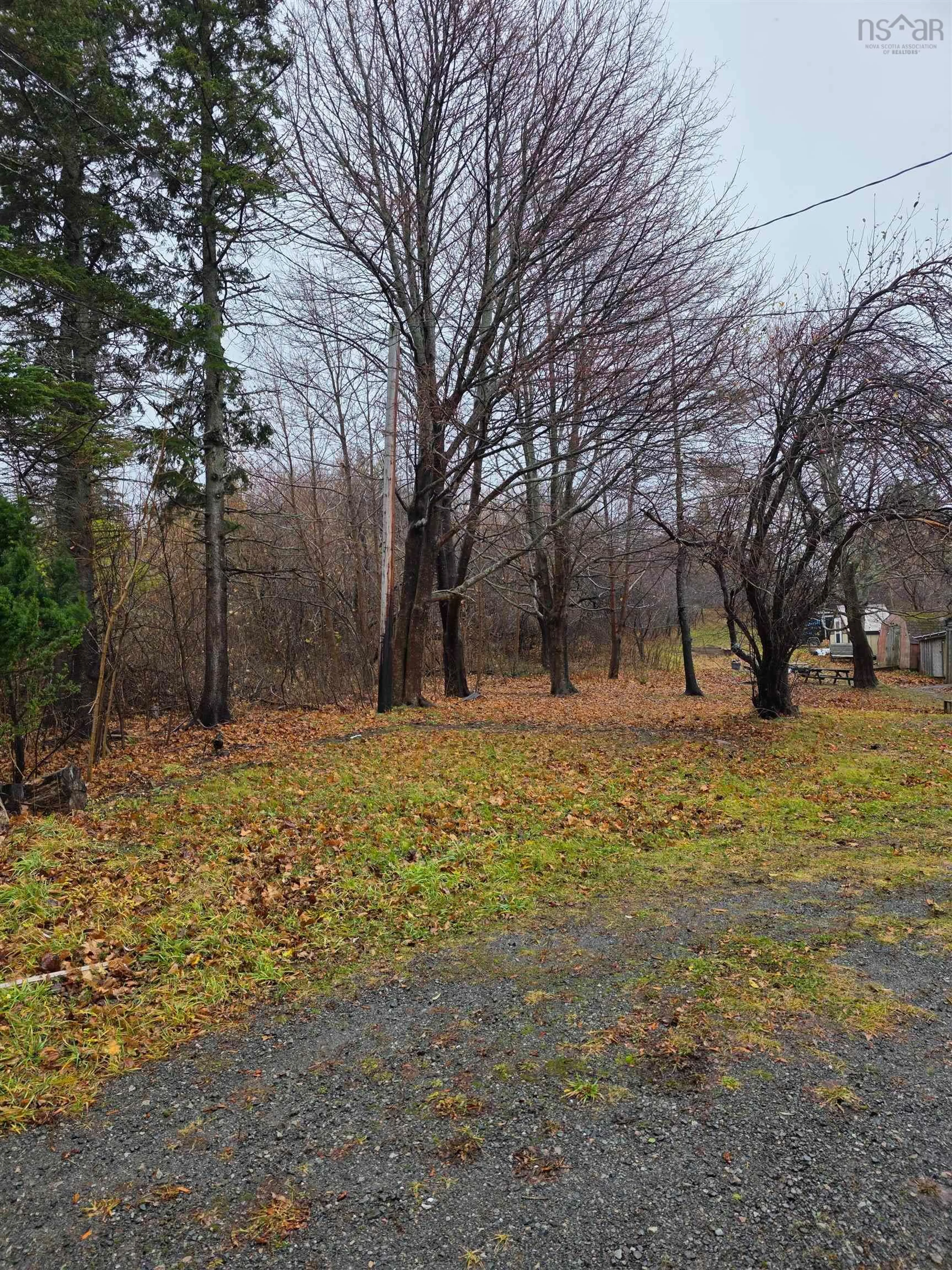 A pic from outside/outdoor area/front of a property/back of a property/a pic from drone, forest/trees view for 2345 Highway 239 Hwy, Point Edward Nova Scotia B2A 4R3