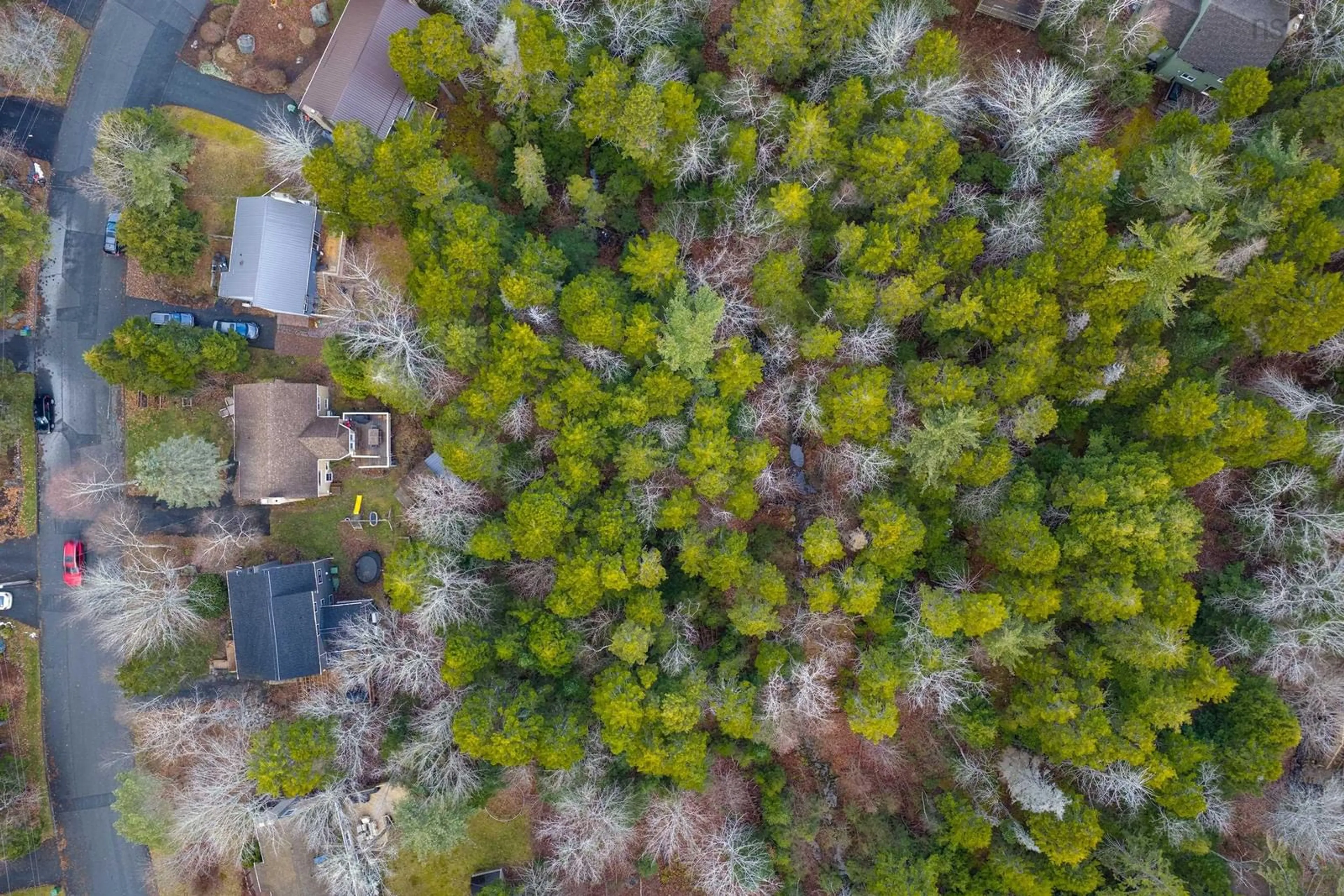 A pic from outside/outdoor area/front of a property/back of a property/a pic from drone, forest/trees view for 49 Village Cres, Bedford Nova Scotia B4A 1J3