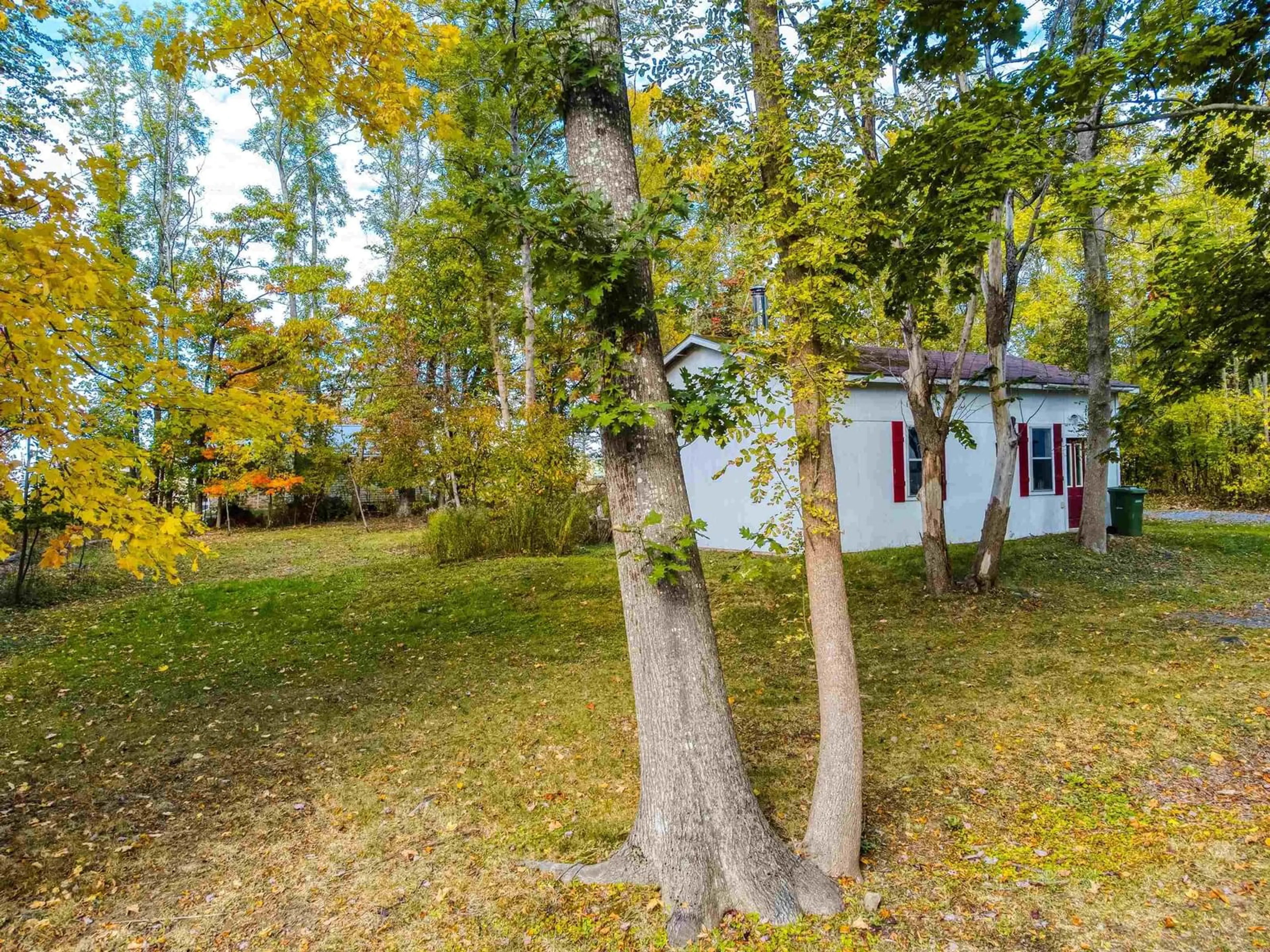 A pic from outside/outdoor area/front of a property/back of a property/a pic from drone, forest/trees view for 68 Cottage St, Pictou Nova Scotia B0K 1H0