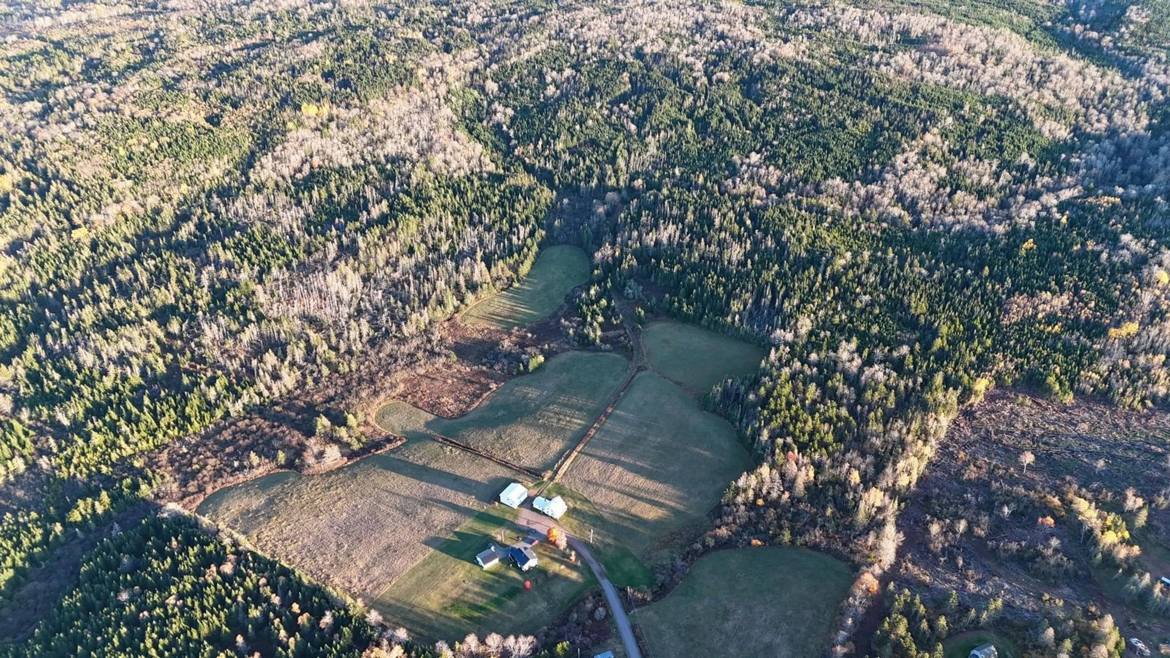 A pic from outside/outdoor area/front of a property/back of a property/a pic from drone, forest/trees view for 270 Fraser Rd, Harmony Nova Scotia B6L 3K8