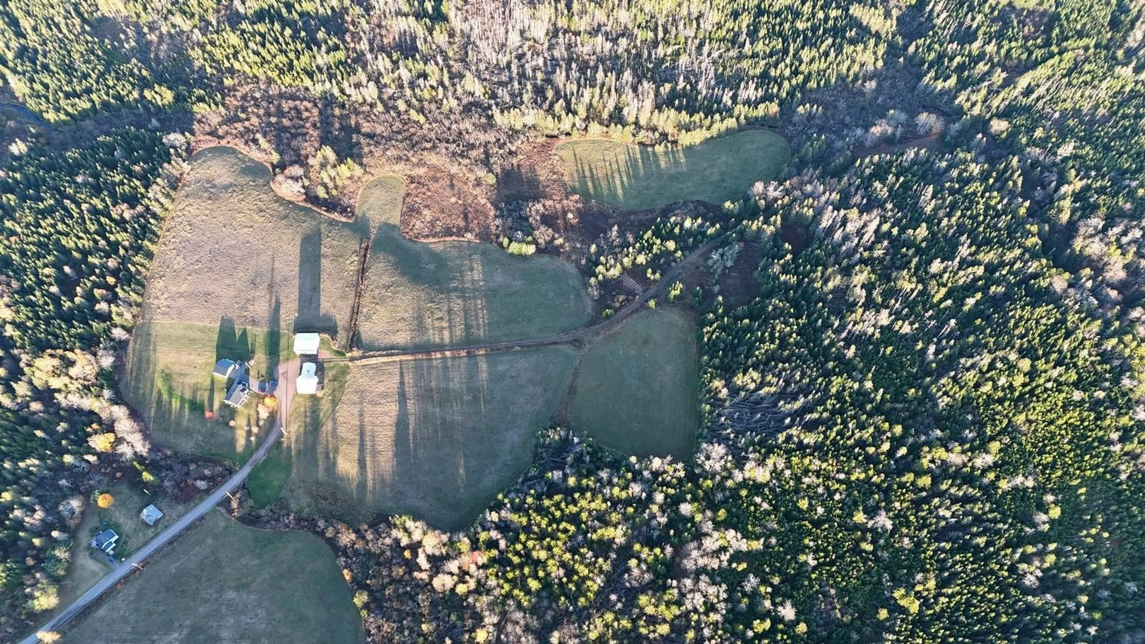 A pic from outside/outdoor area/front of a property/back of a property/a pic from drone, forest/trees view for 270 Fraser Rd, Harmony Nova Scotia B6L 3K8