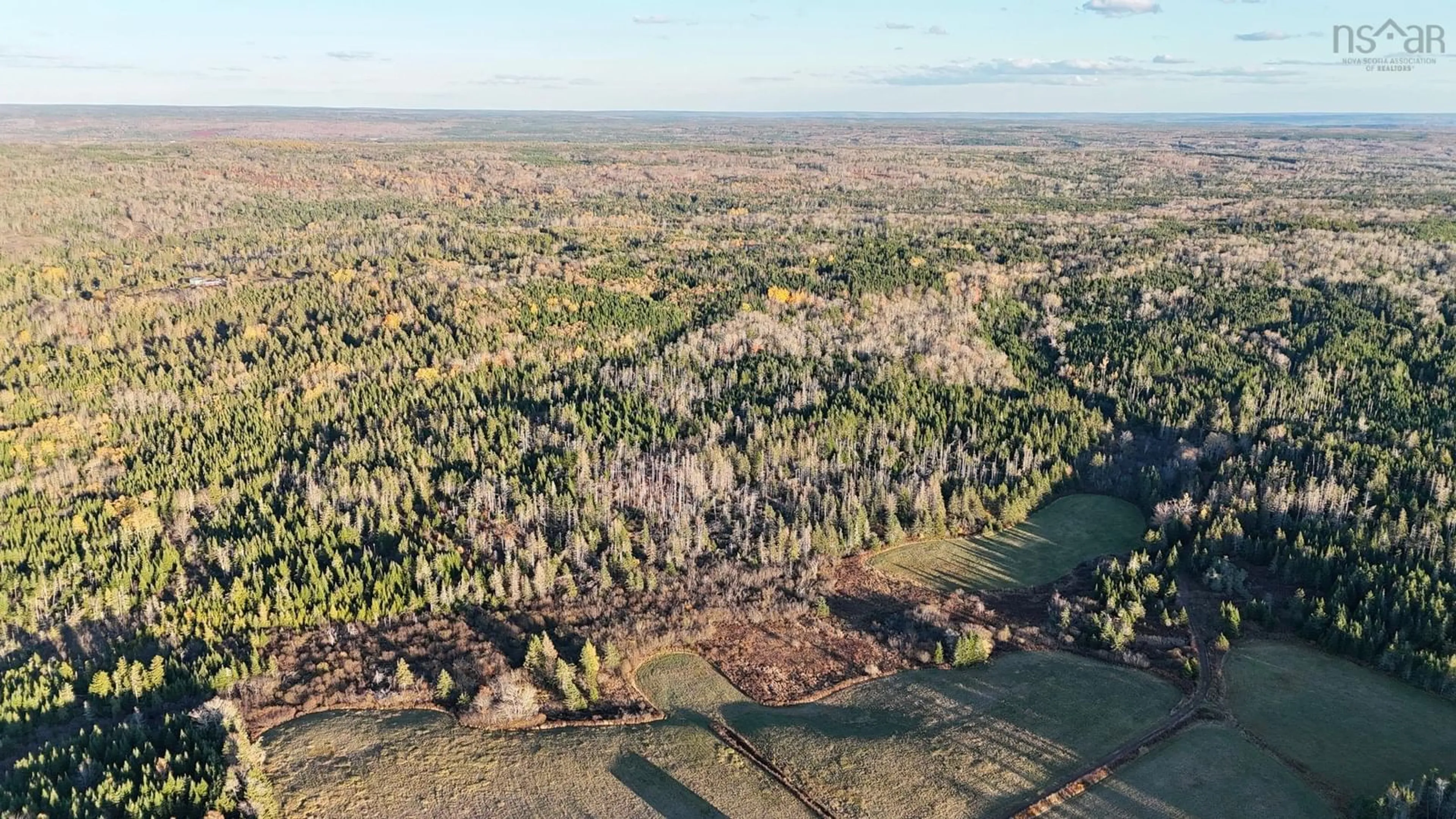 A pic from outside/outdoor area/front of a property/back of a property/a pic from drone, forest/trees view for 270 Fraser Rd, Harmony Nova Scotia B6L 3K8