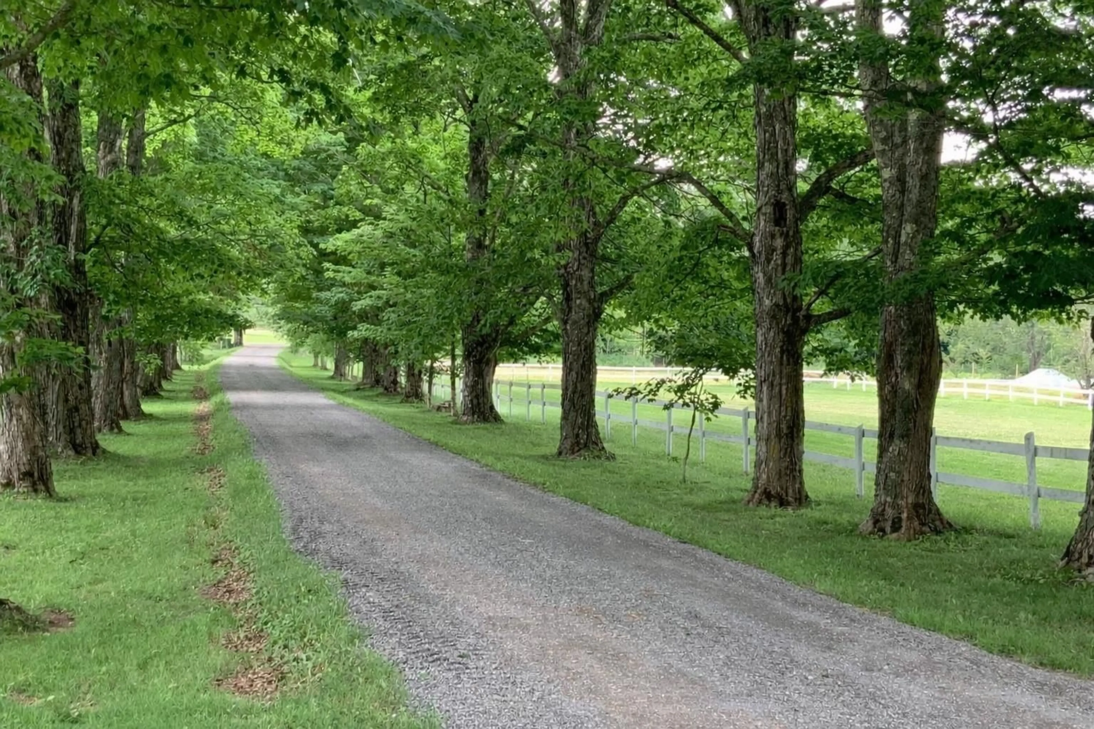 Unknown for 792 Bligh Rd, Woodville Nova Scotia B0P 1G0