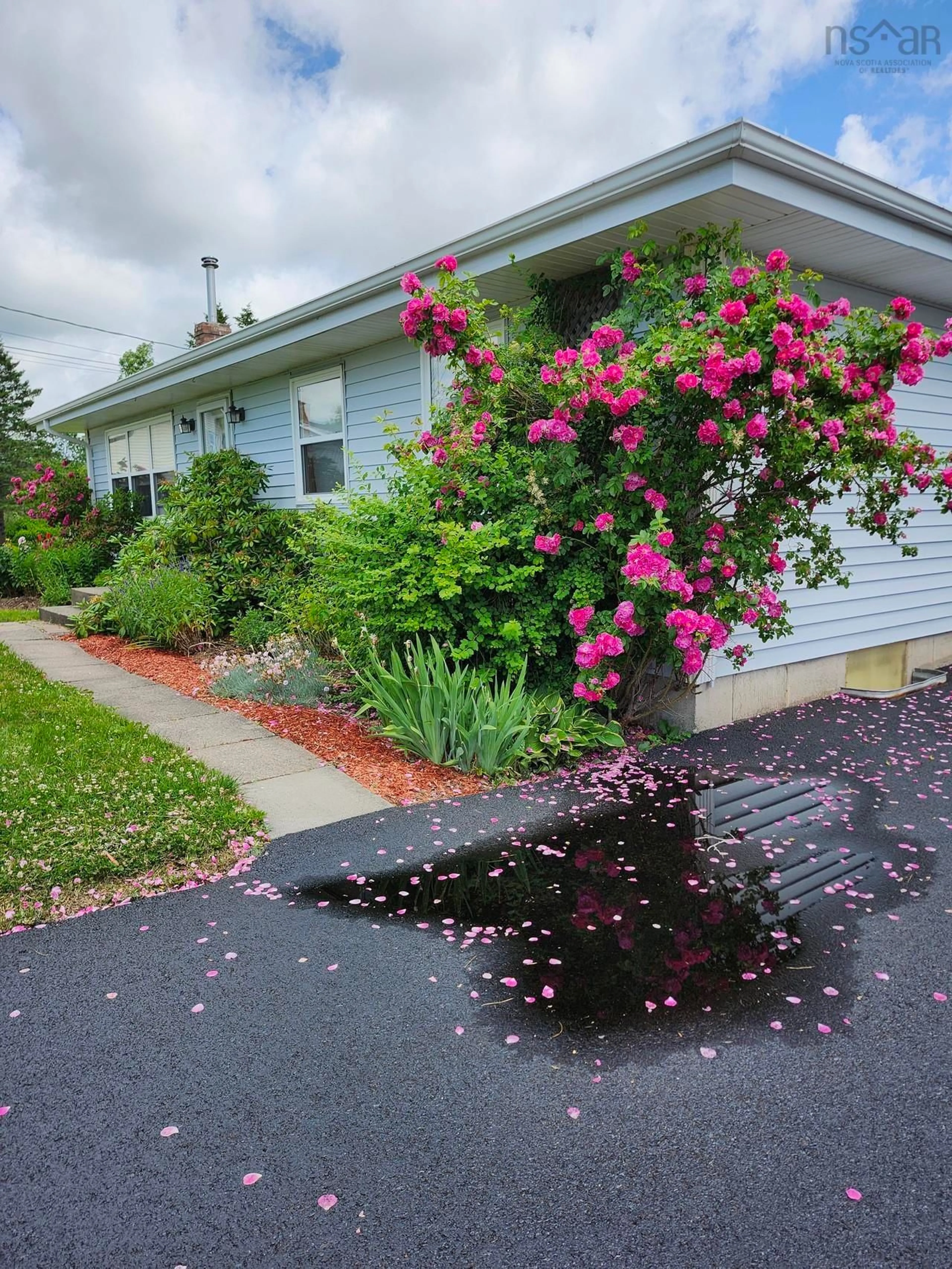 Home with vinyl exterior material, street for 22 Macdougall, Antigonish Nova Scotia B2G 2P5