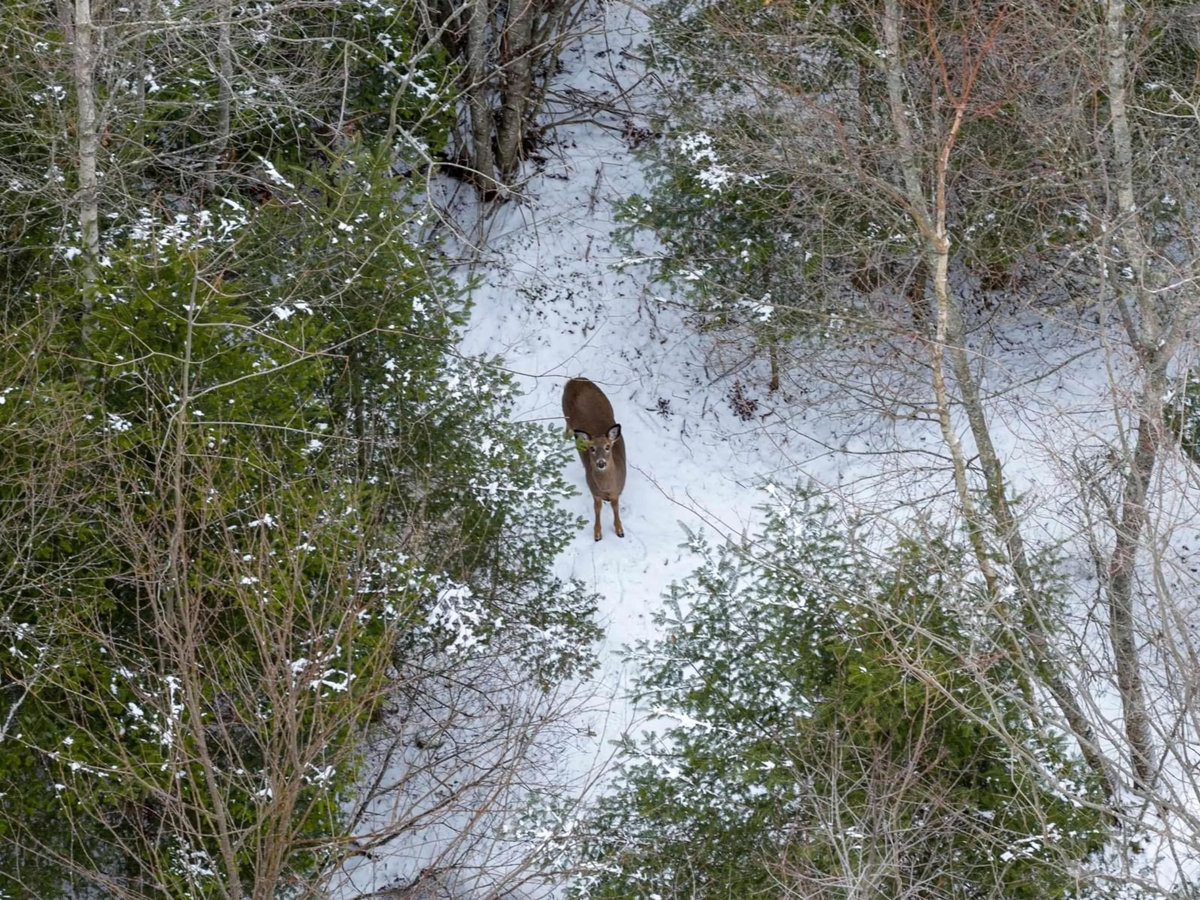 Blurry image for 48 Huckleberry Lane, Valley Nova Scotia B2N 6K2