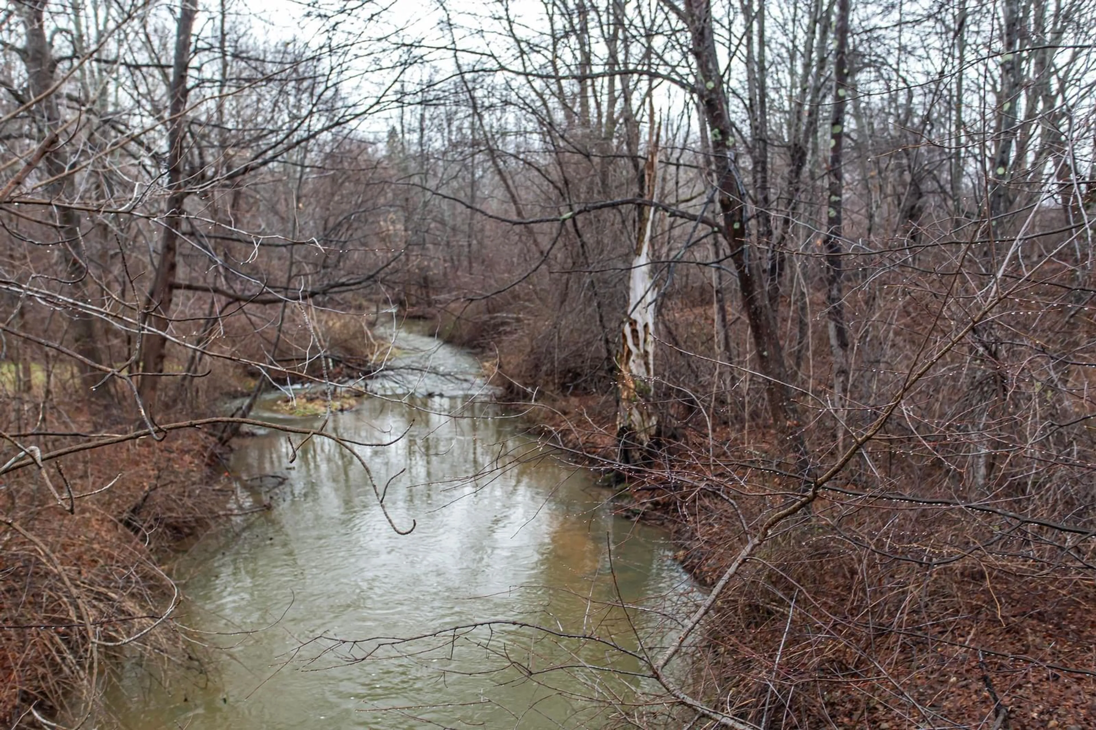 Blurry image for 206 Main St, Middleton Nova Scotia B0S 1P0