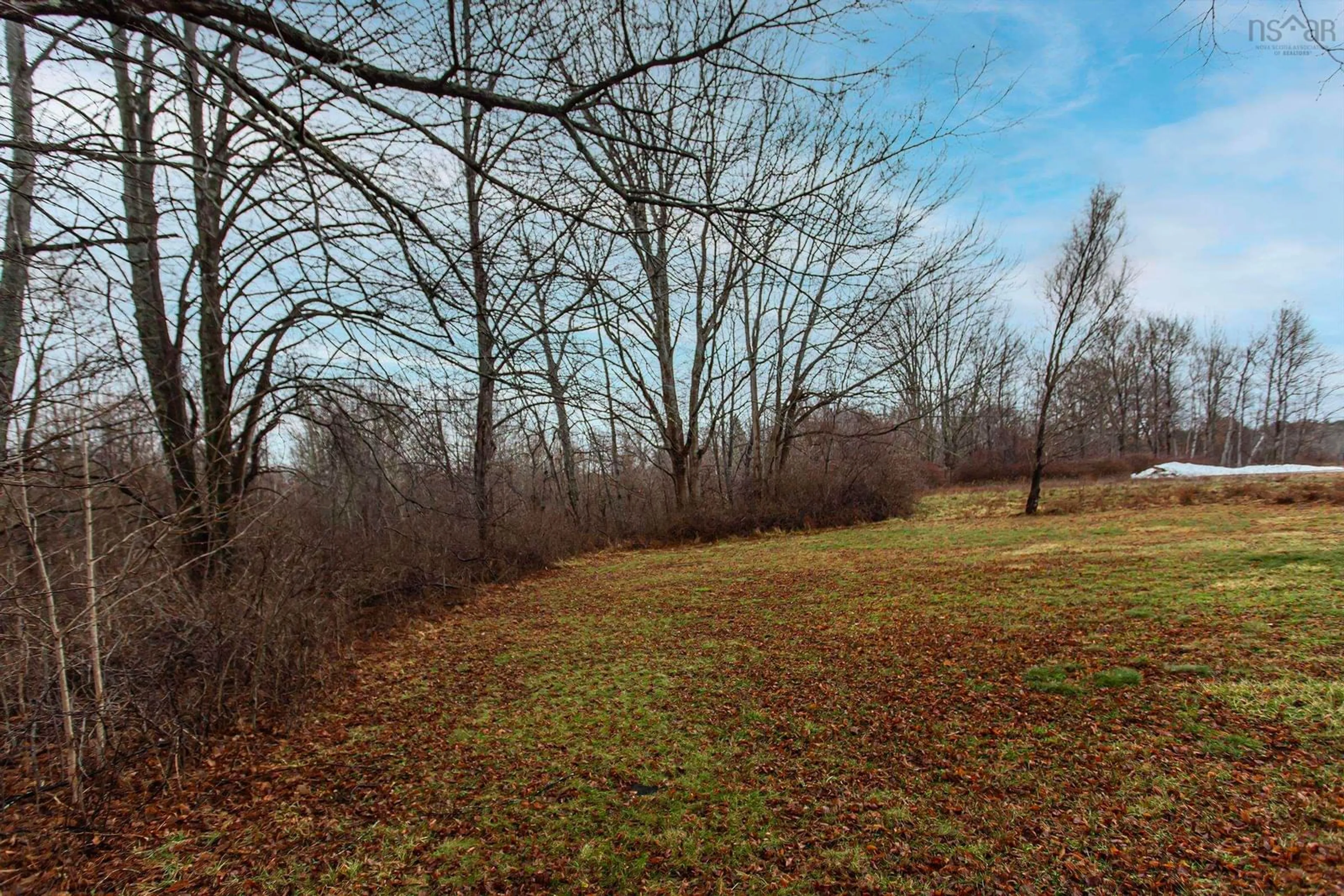A pic from outside/outdoor area/front of a property/back of a property/a pic from drone, forest/trees view for 206 Main St, Middleton Nova Scotia B0S 1P0
