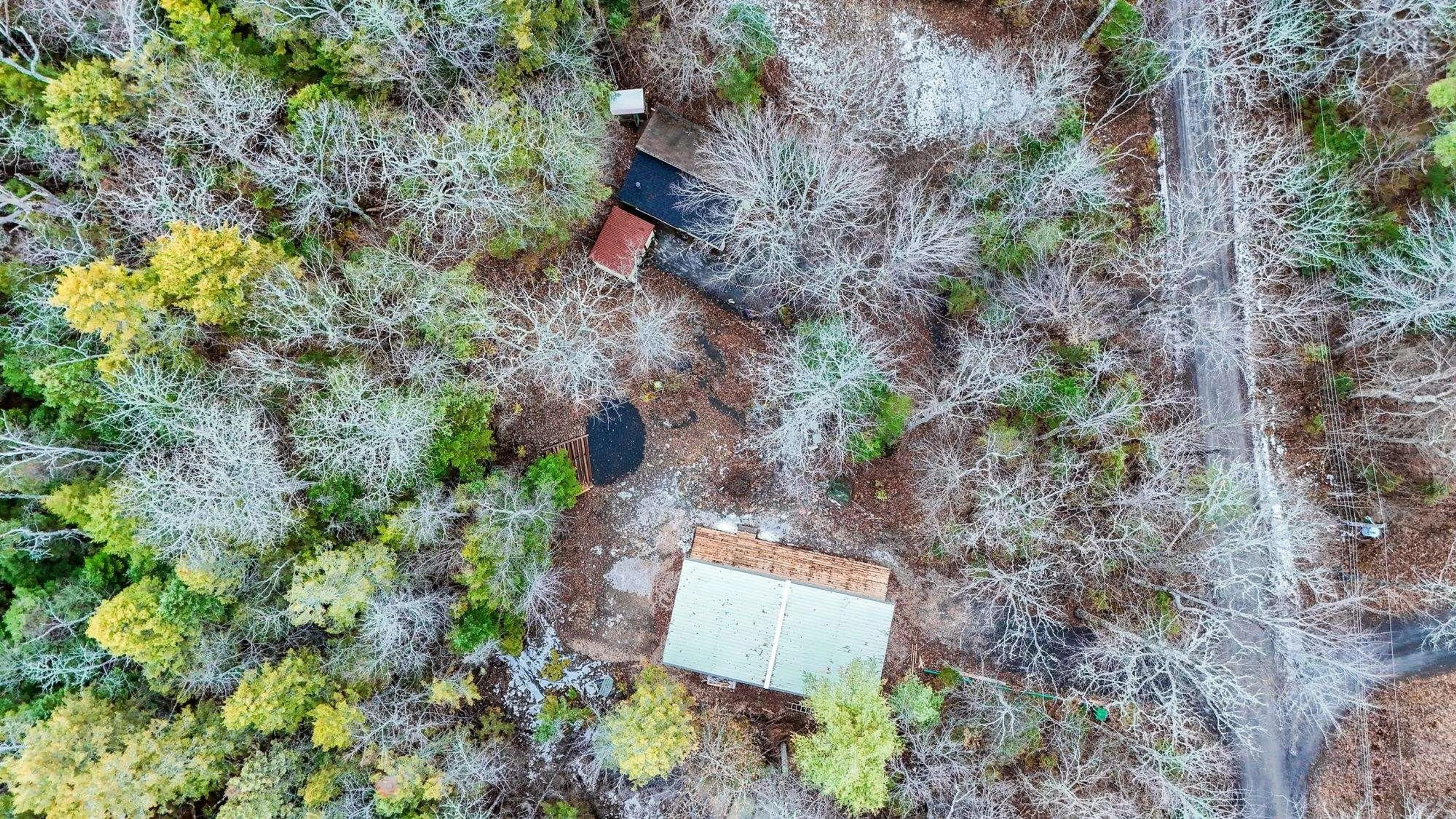 A pic from outside/outdoor area/front of a property/back of a property/a pic from drone, forest/trees view for 25 Hirtle Dr, Hemford Nova Scotia B0R 1E0