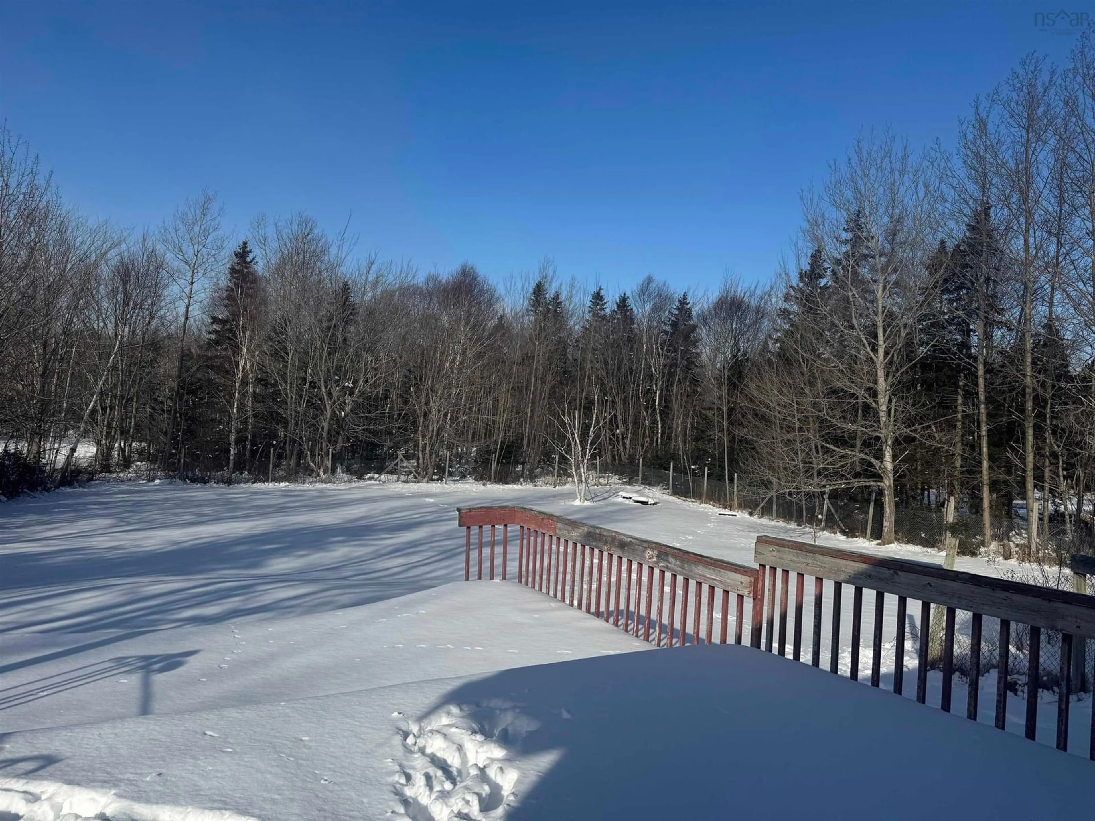 A pic from outside/outdoor area/front of a property/back of a property/a pic from drone, forest/trees view for 739 Mill Pond Rd, Millville Nova Scotia B1V 2H2