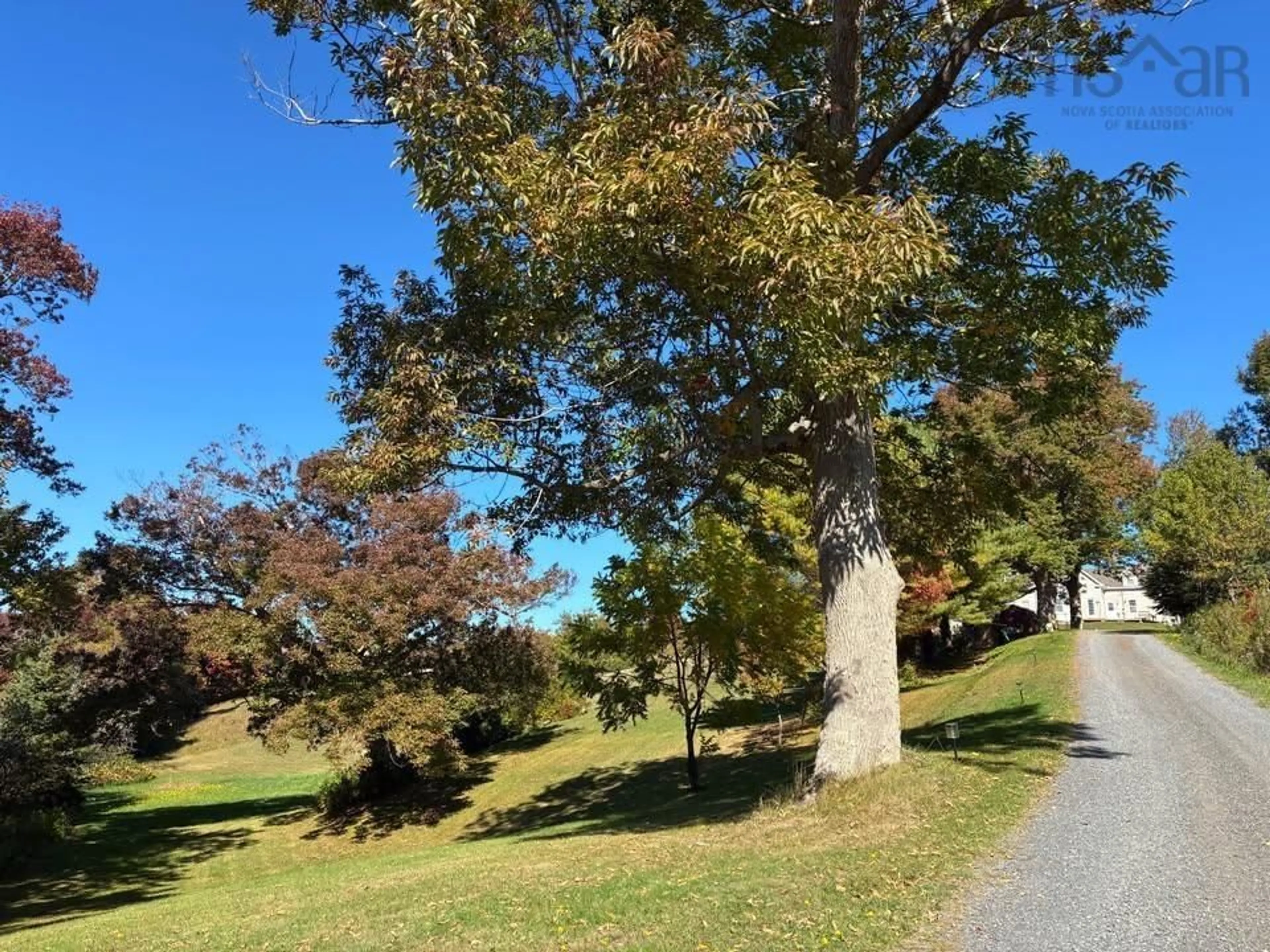 A pic from outside/outdoor area/front of a property/back of a property/a pic from drone, forest/trees view for 29 Buckley Simpson Drive, Boylston Nova Scotia B0H 1G0