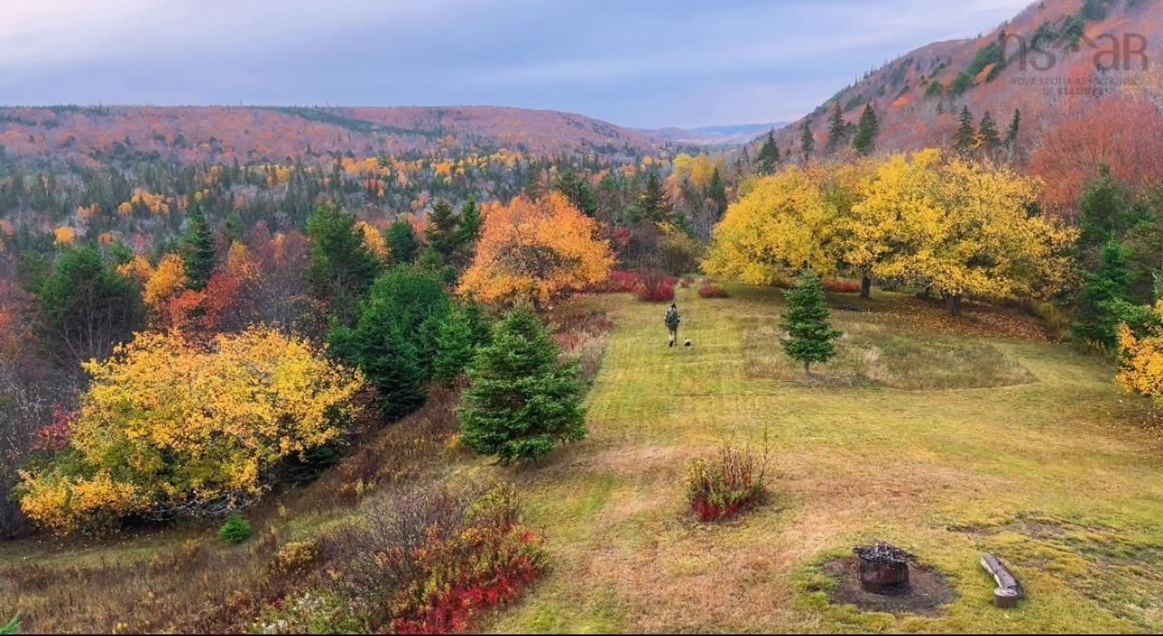 A pic from outside/outdoor area/front of a property/back of a property/a pic from drone, forest/trees view for Rear Boisdale, Boisdale Nova Scotia B2A 4B3