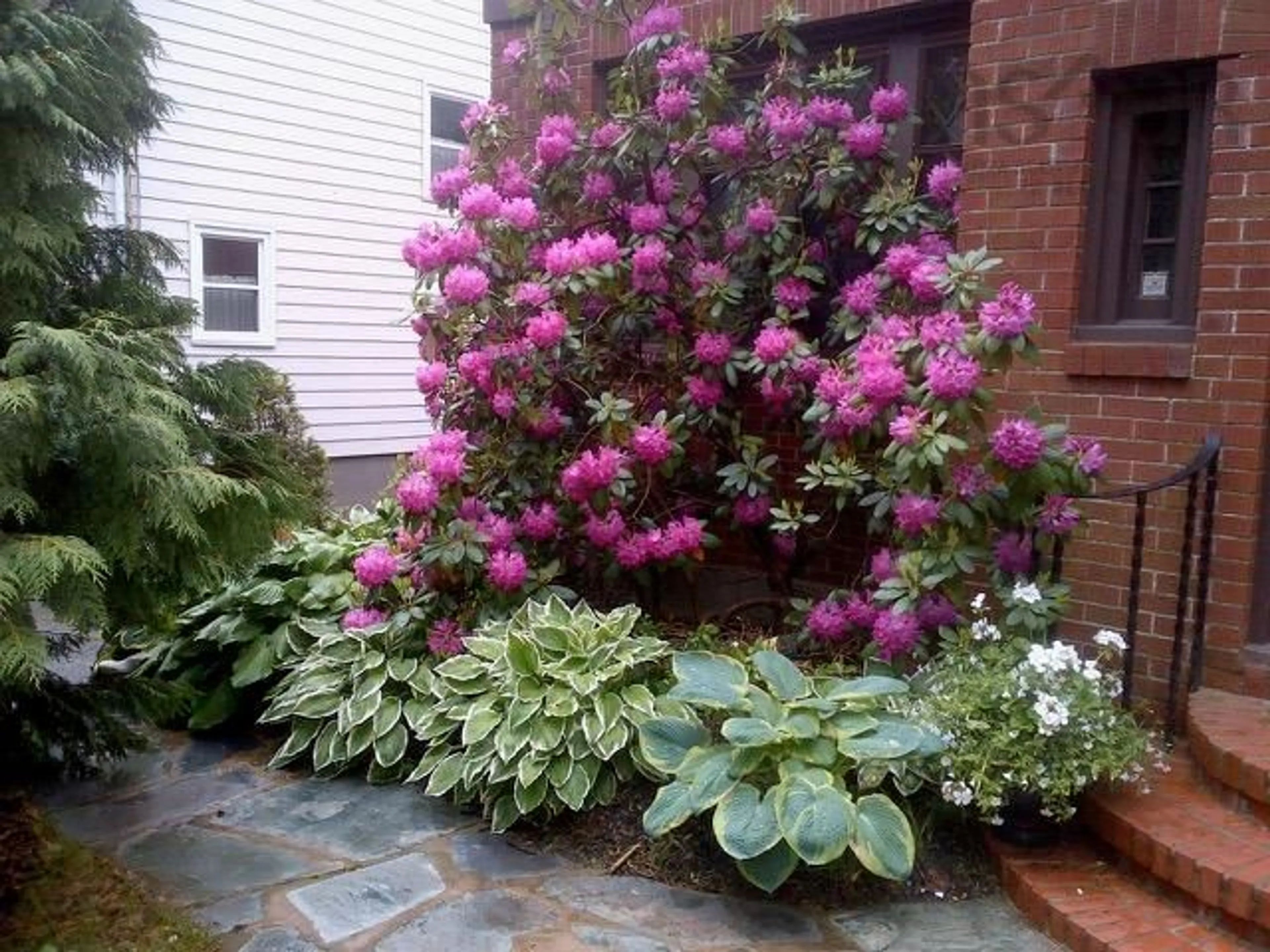 Patio, street for 1950 Connaught Ave, Halifax Nova Scotia B3H 4E1