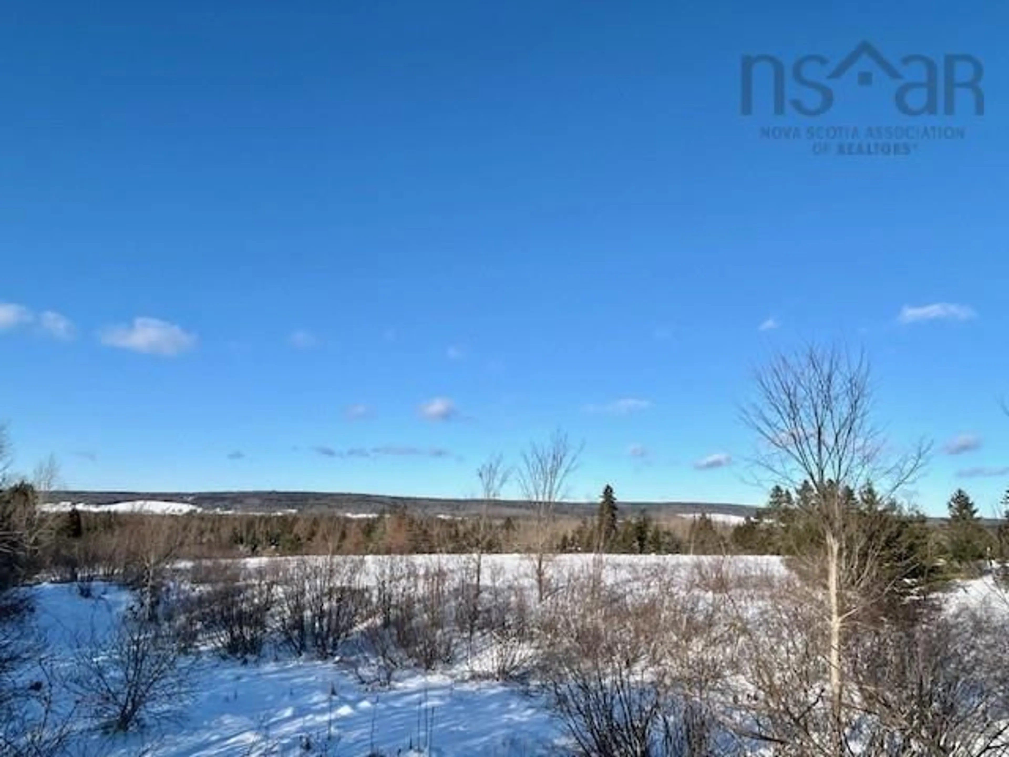 A pic from outside/outdoor area/front of a property/back of a property/a pic from drone, forest/trees view for 812 Cloverdale Rd, Birch Hill Nova Scotia B0N 2J0