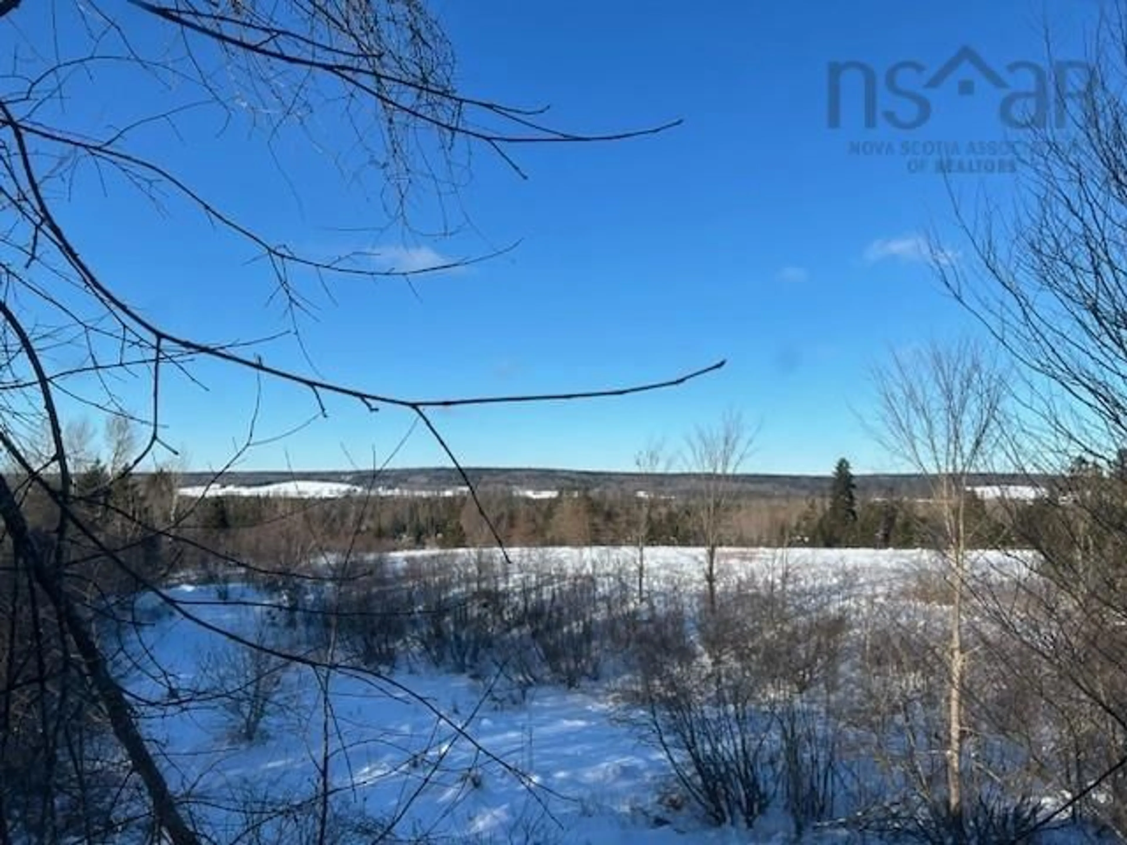 A pic from outside/outdoor area/front of a property/back of a property/a pic from drone, forest/trees view for 812 Cloverdale Rd, Birch Hill Nova Scotia B0N 2J0
