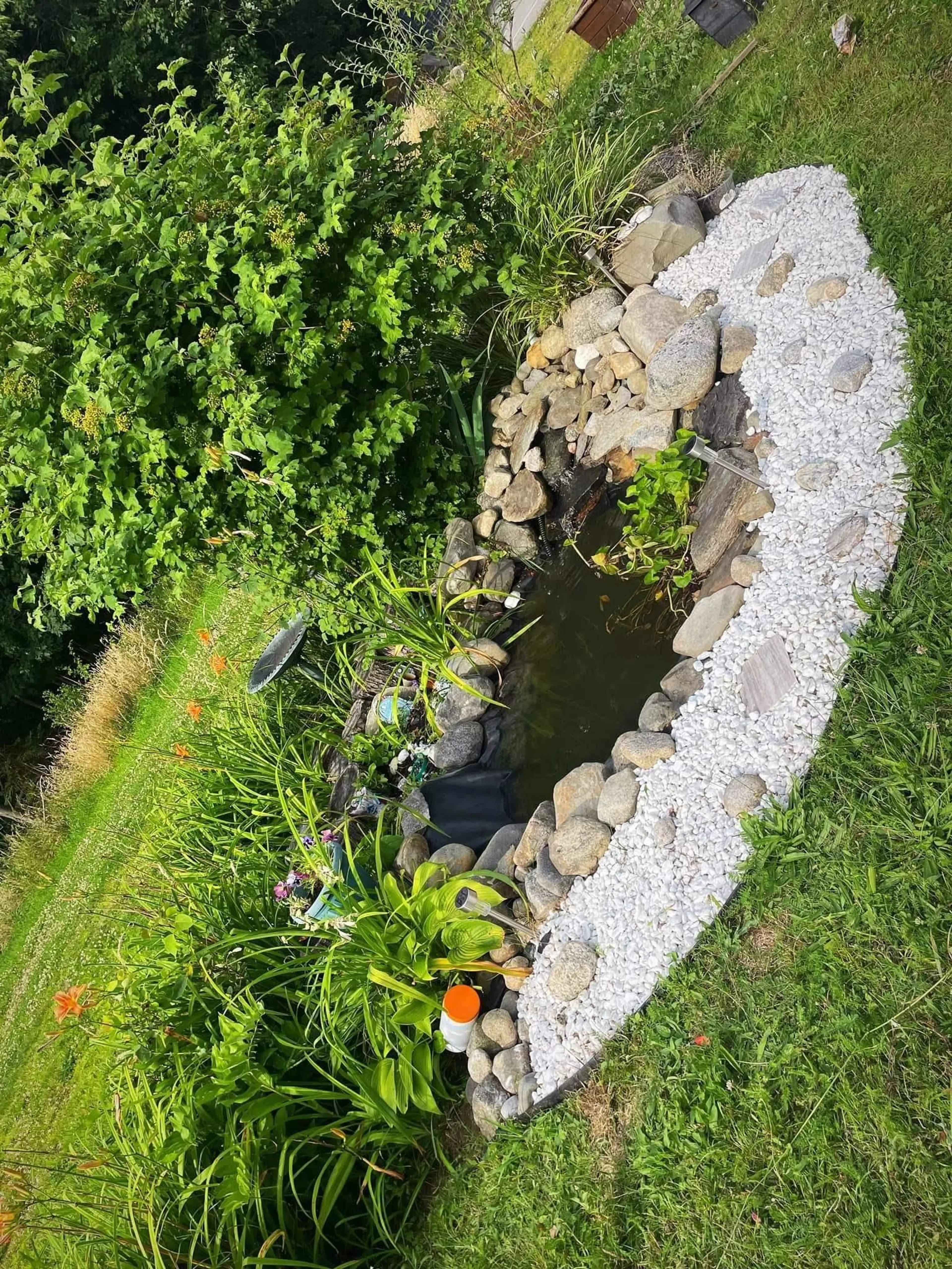 A pic from outside/outdoor area/front of a property/back of a property/a pic from drone, water/lake/river/ocean view for 197 Hammond St, Shelburne Nova Scotia B0T 1W0