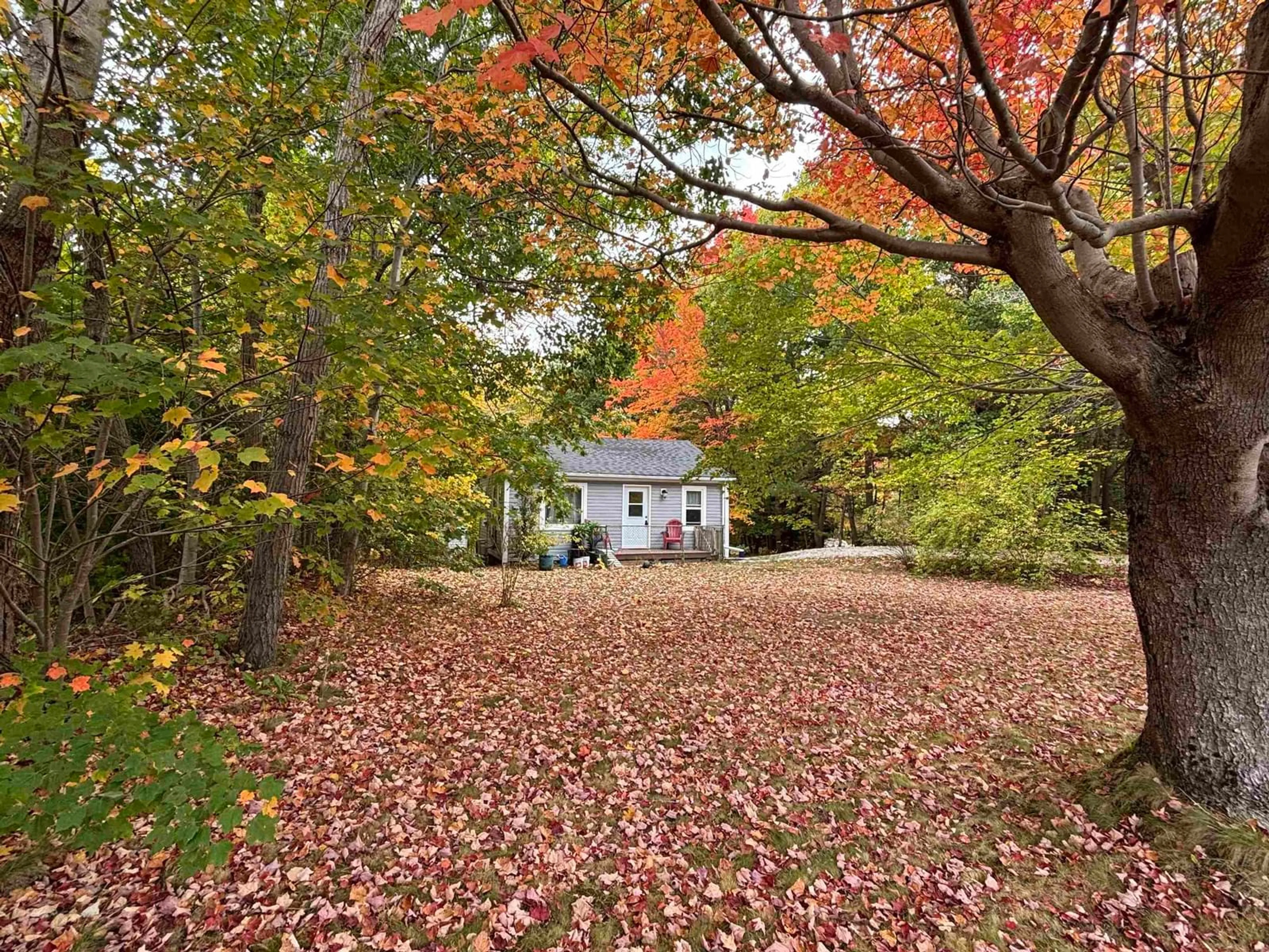 Unknown for 498 Upper Branch Rd, Wileville Nova Scotia B4V 5M7