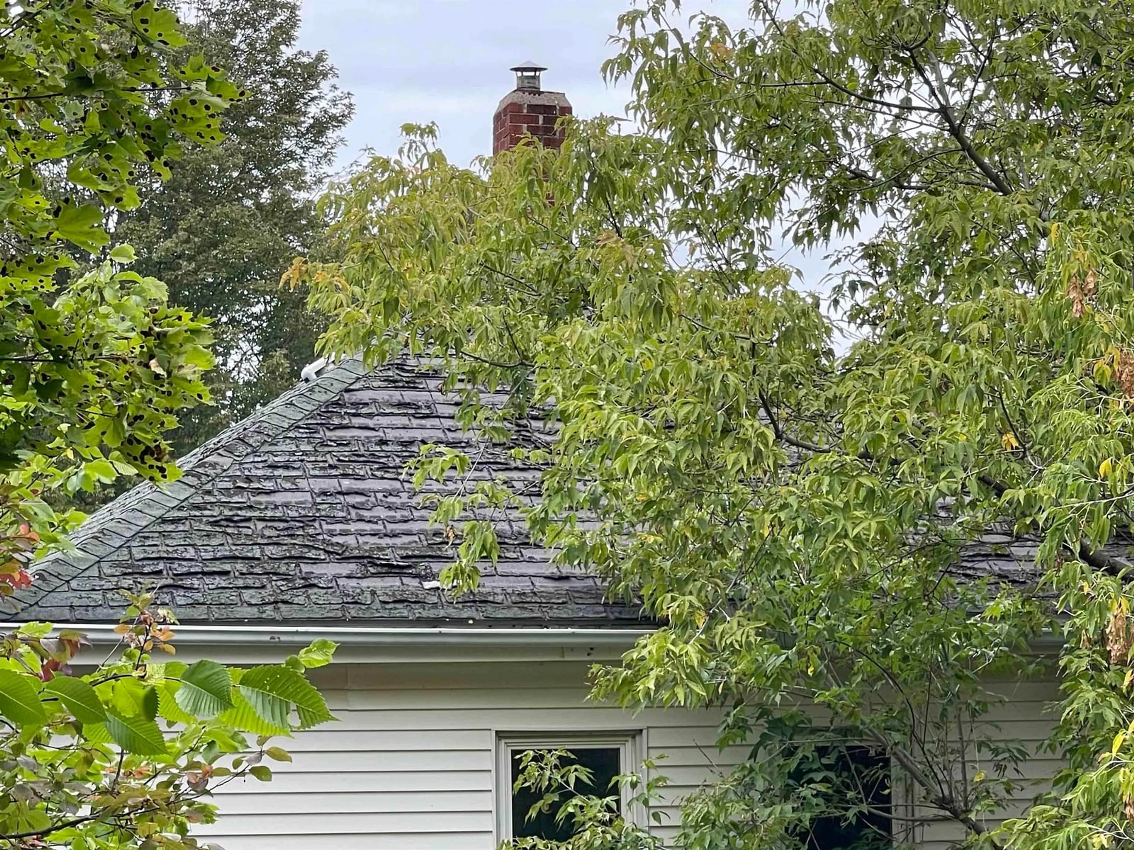 Shed for 42 Bell St, New Glasgow Nova Scotia B2H 2A9