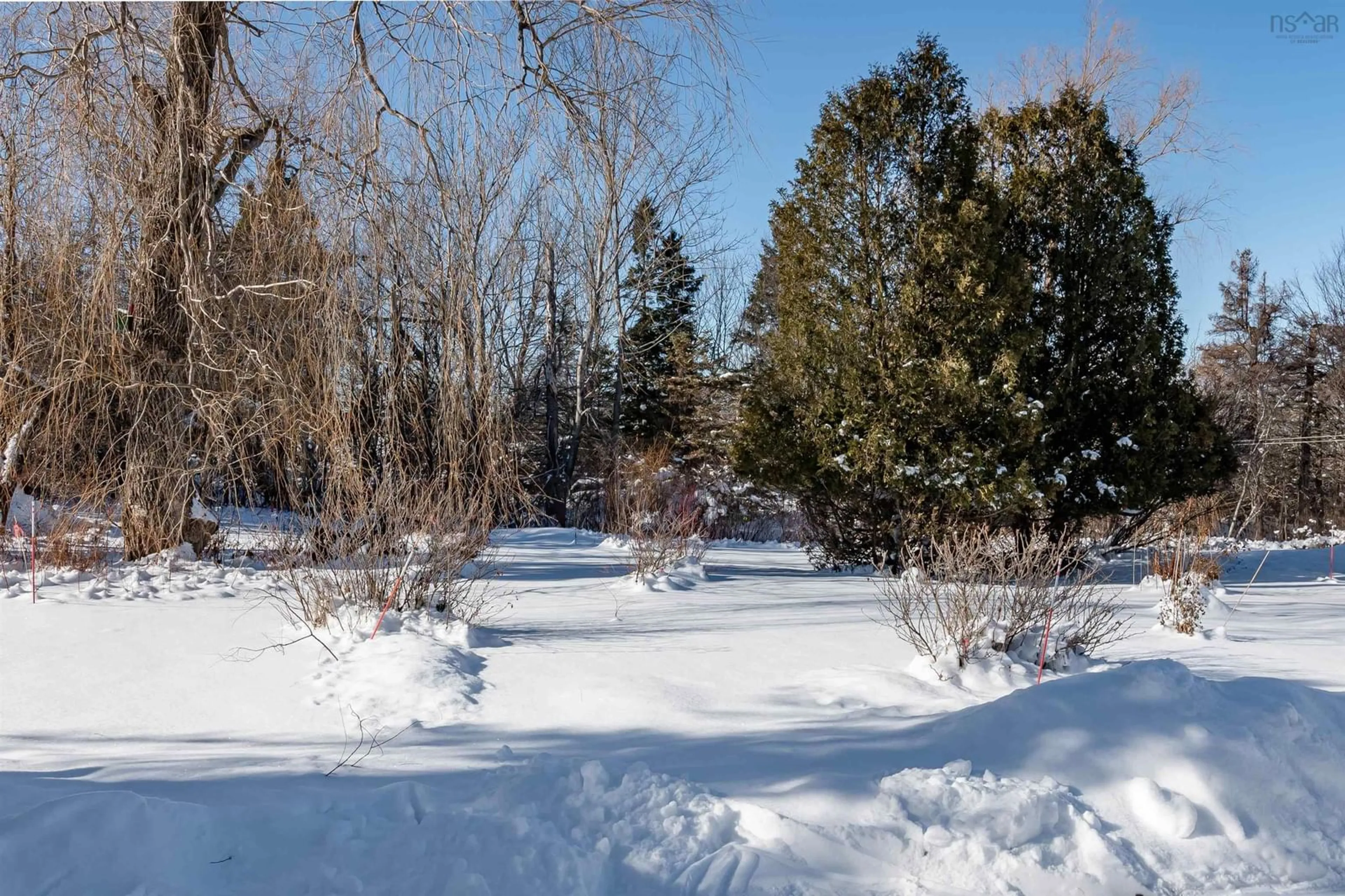 Patio, forest/trees view for 1407 North Shore Rd, North Shore Nova Scotia B0K 1E0