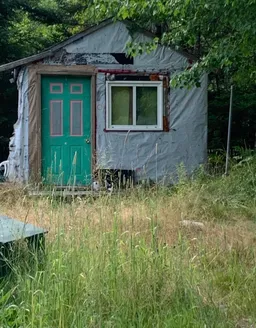 history photo preview