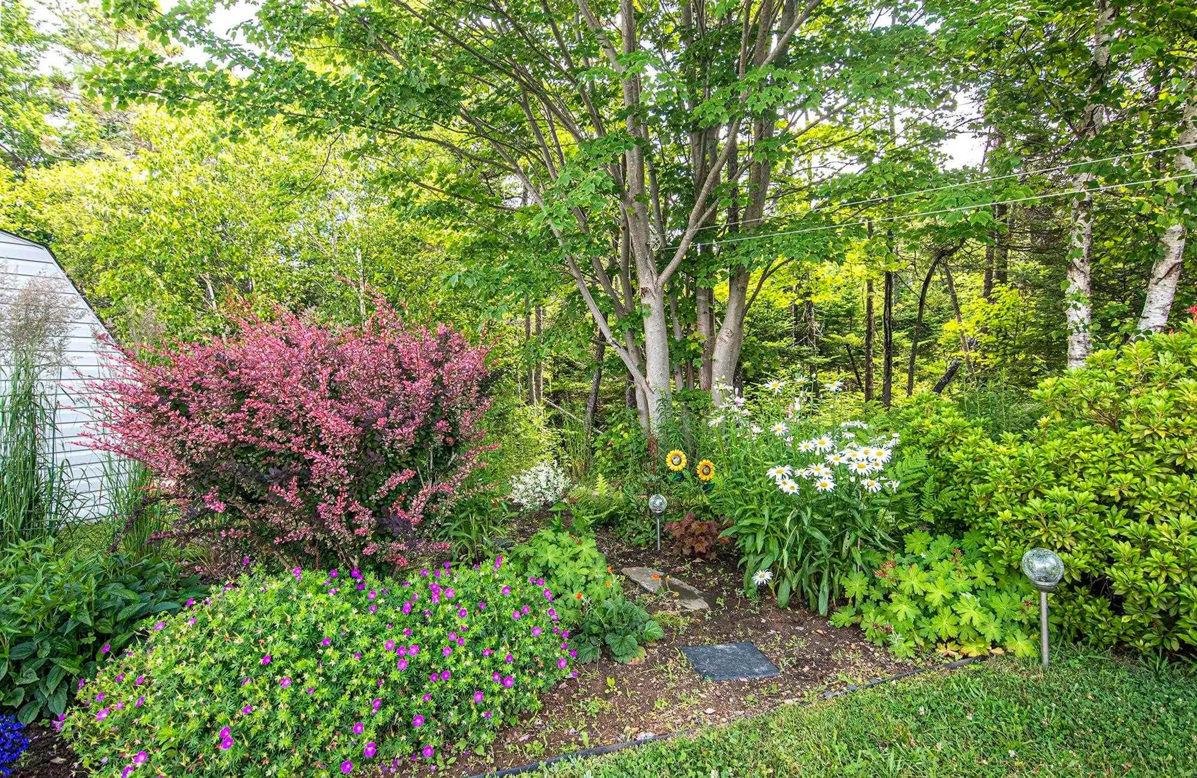 Patio, forest/trees view for 76 Bumpy Lane, Lake Echo Nova Scotia B3E 1B8