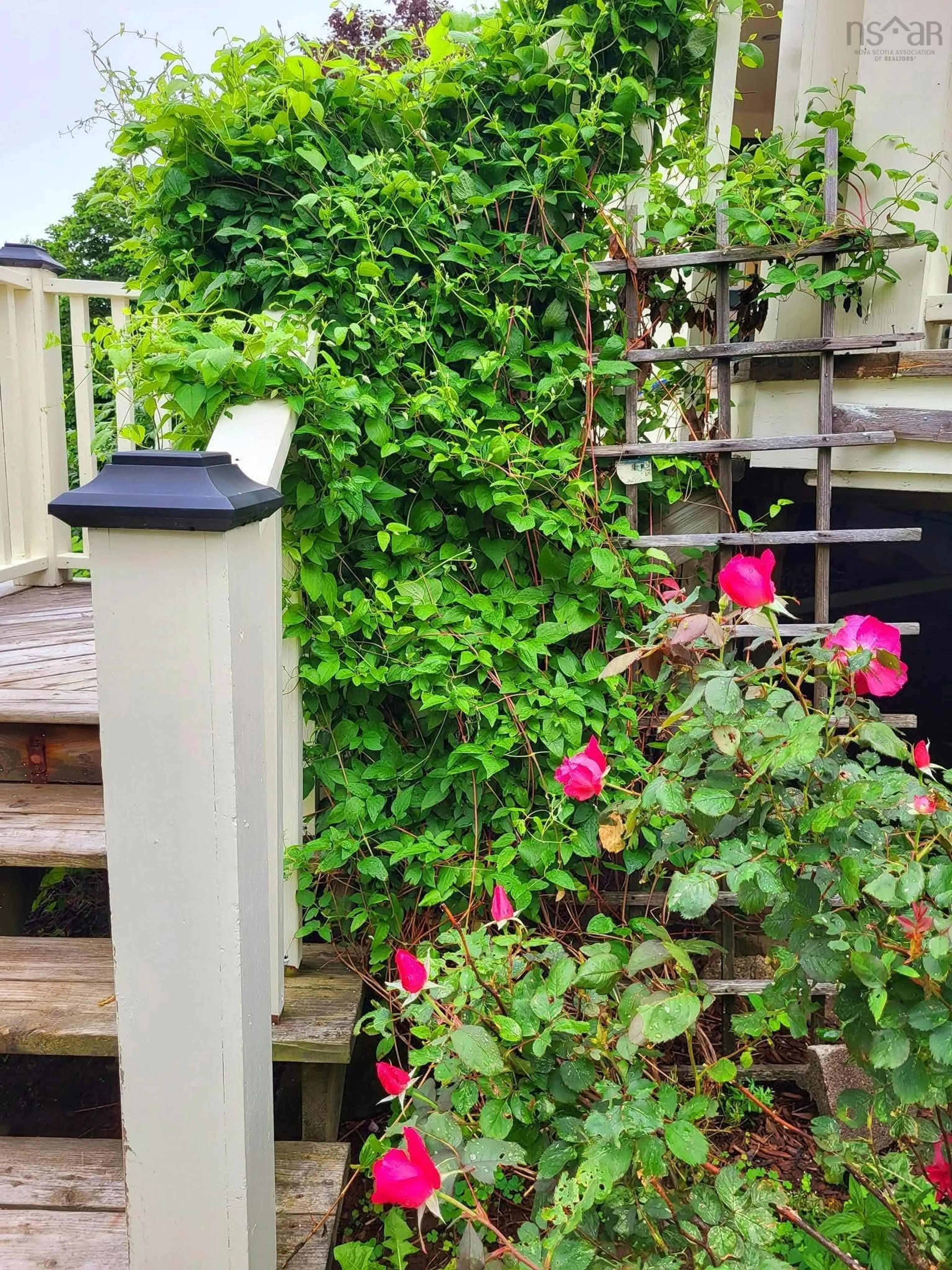 Patio, street for 1302 Macgarry Rd, Grand Étang Nova Scotia B0E 1H0