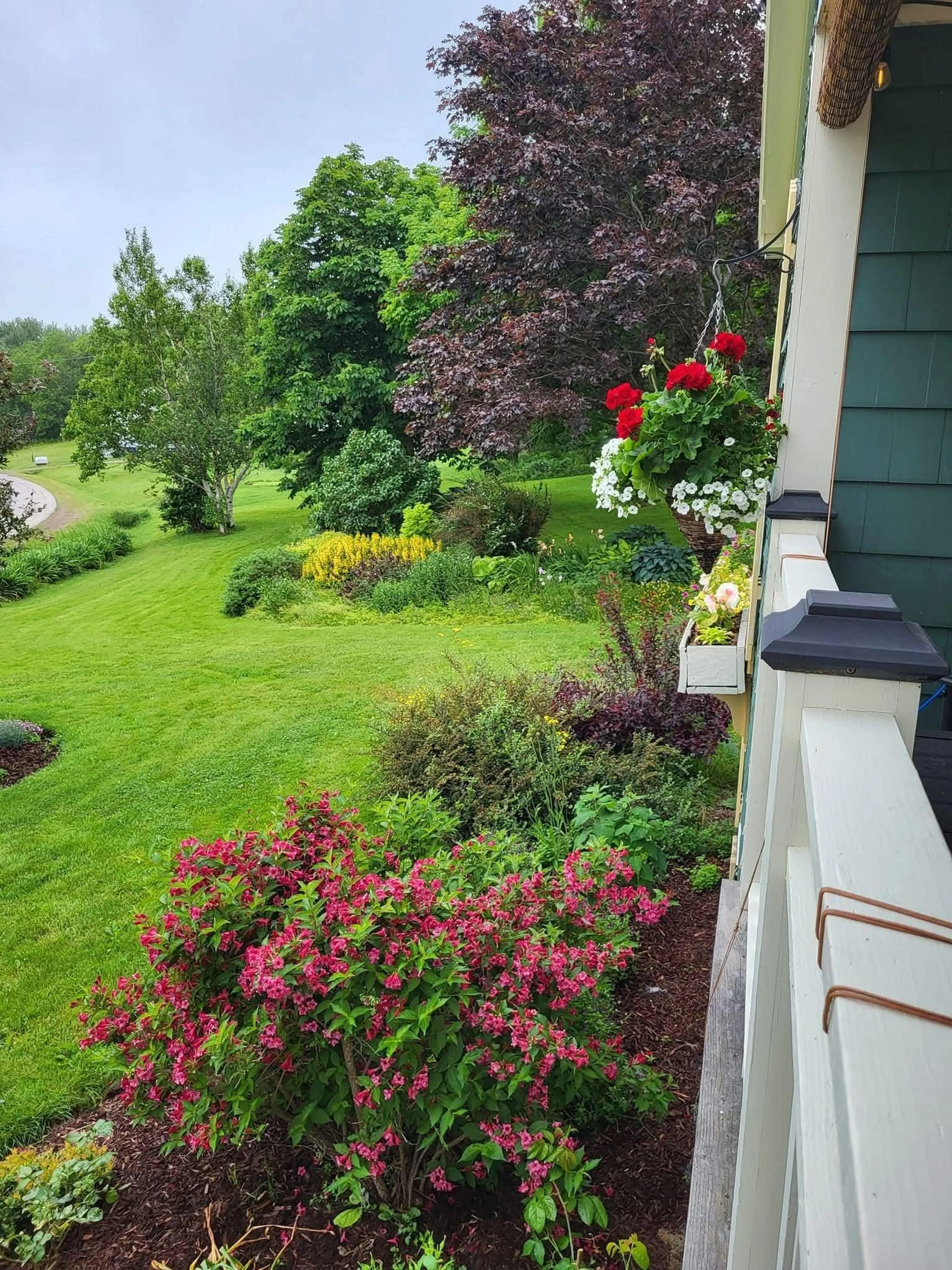 A pic from outside/outdoor area/front of a property/back of a property/a pic from drone, street for 1302 Macgarry Rd, Grand Étang Nova Scotia B0E 1H0