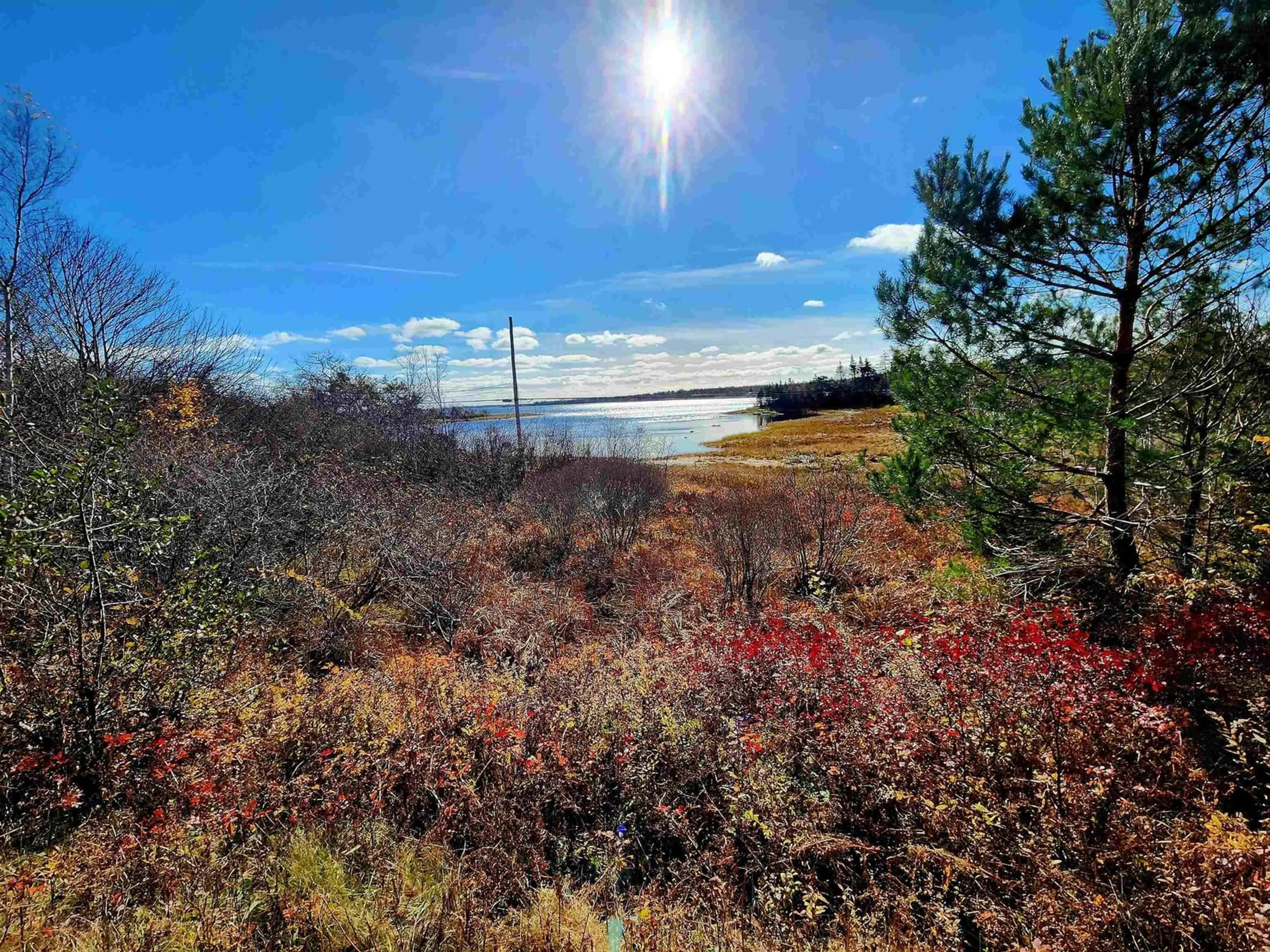 A pic from outside/outdoor area/front of a property/back of a property/a pic from drone, water/lake/river/ocean view for 6998 Shore Road, Port Saxon Nova Scotia B0T 1W0