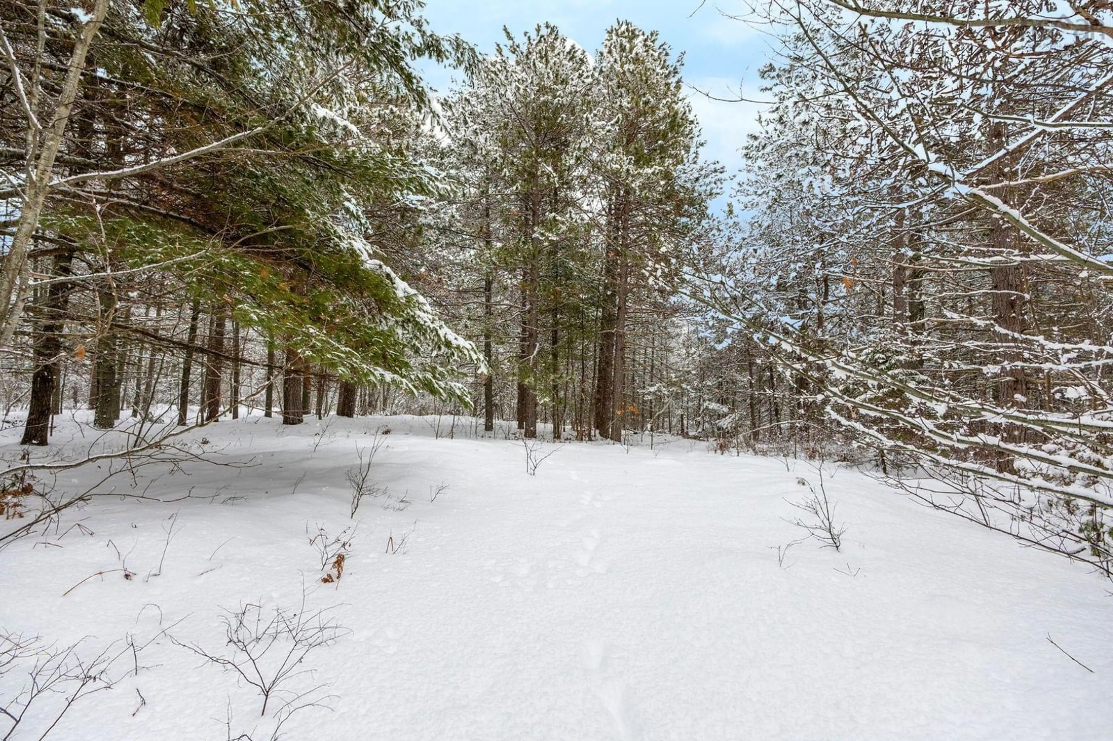 Unknown for 2184 Old Mill Road, South Farmington Nova Scotia B0P 1W0