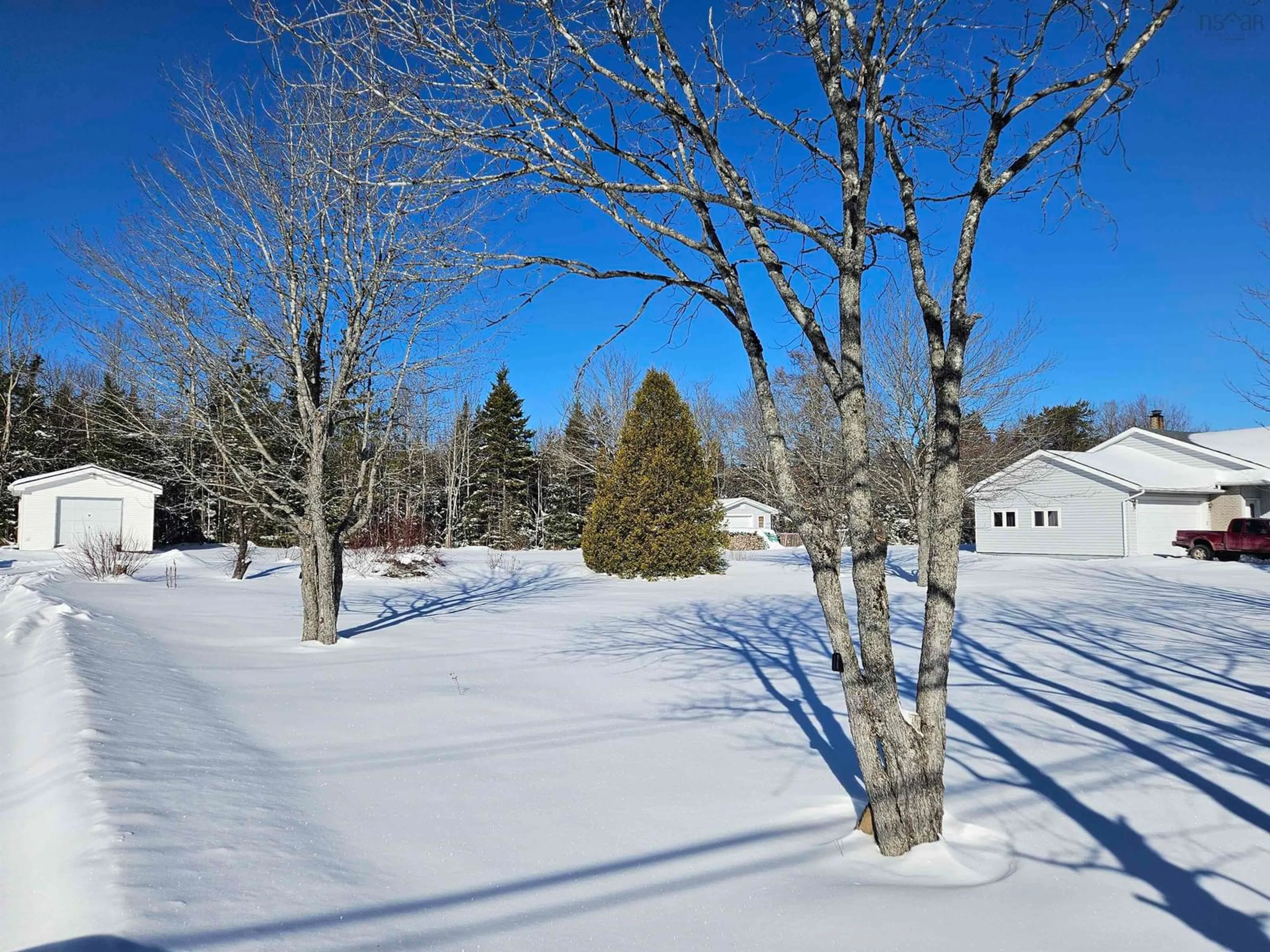 A pic from outside/outdoor area/front of a property/back of a property/a pic from drone, forest/trees view for 11845 Highway 2, Leamington Nova Scotia B0M 1X0