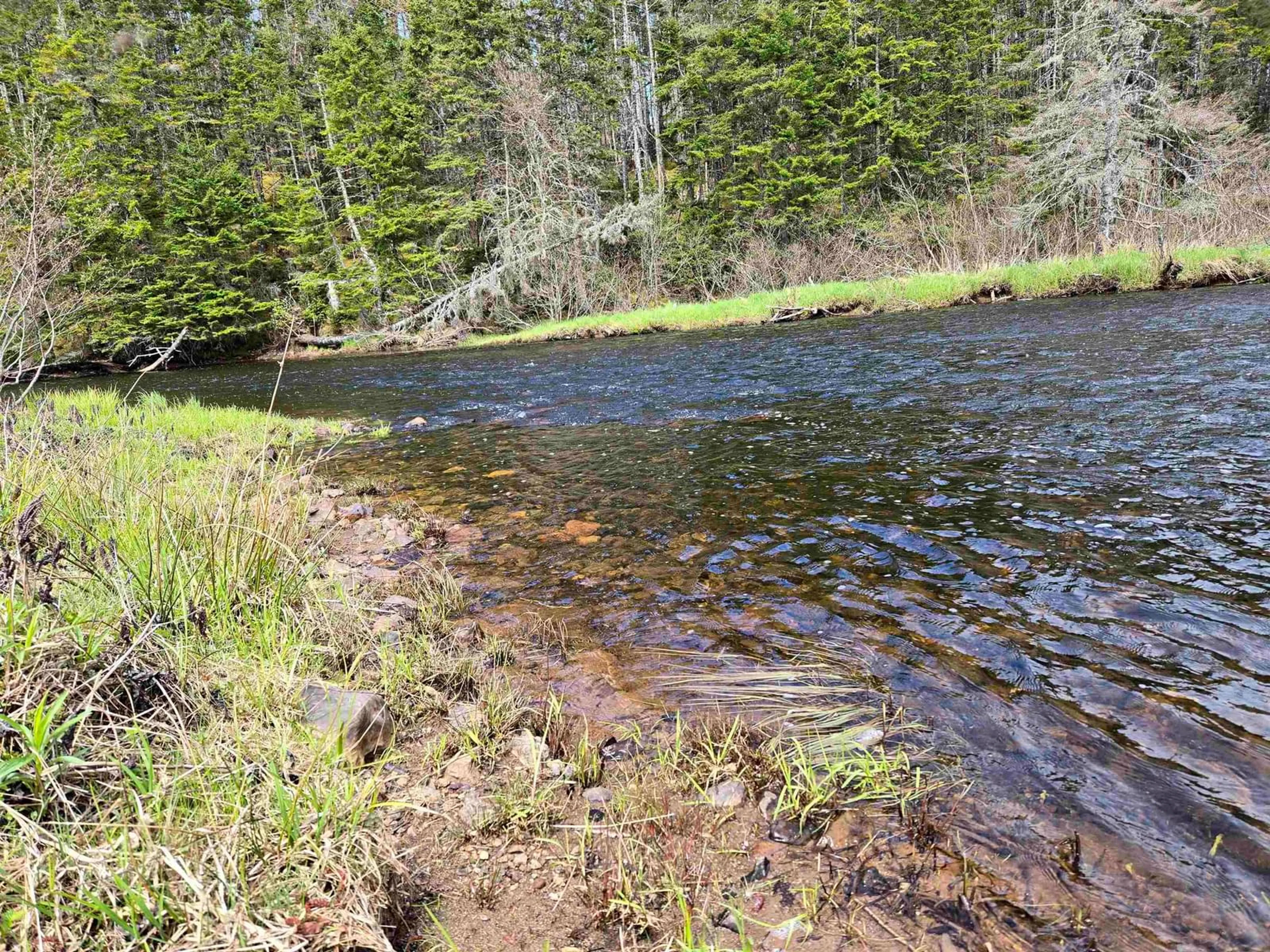 Blurry image for 1235 Loch Lomond Rd, Grand River Falls Nova Scotia B0E 1M0