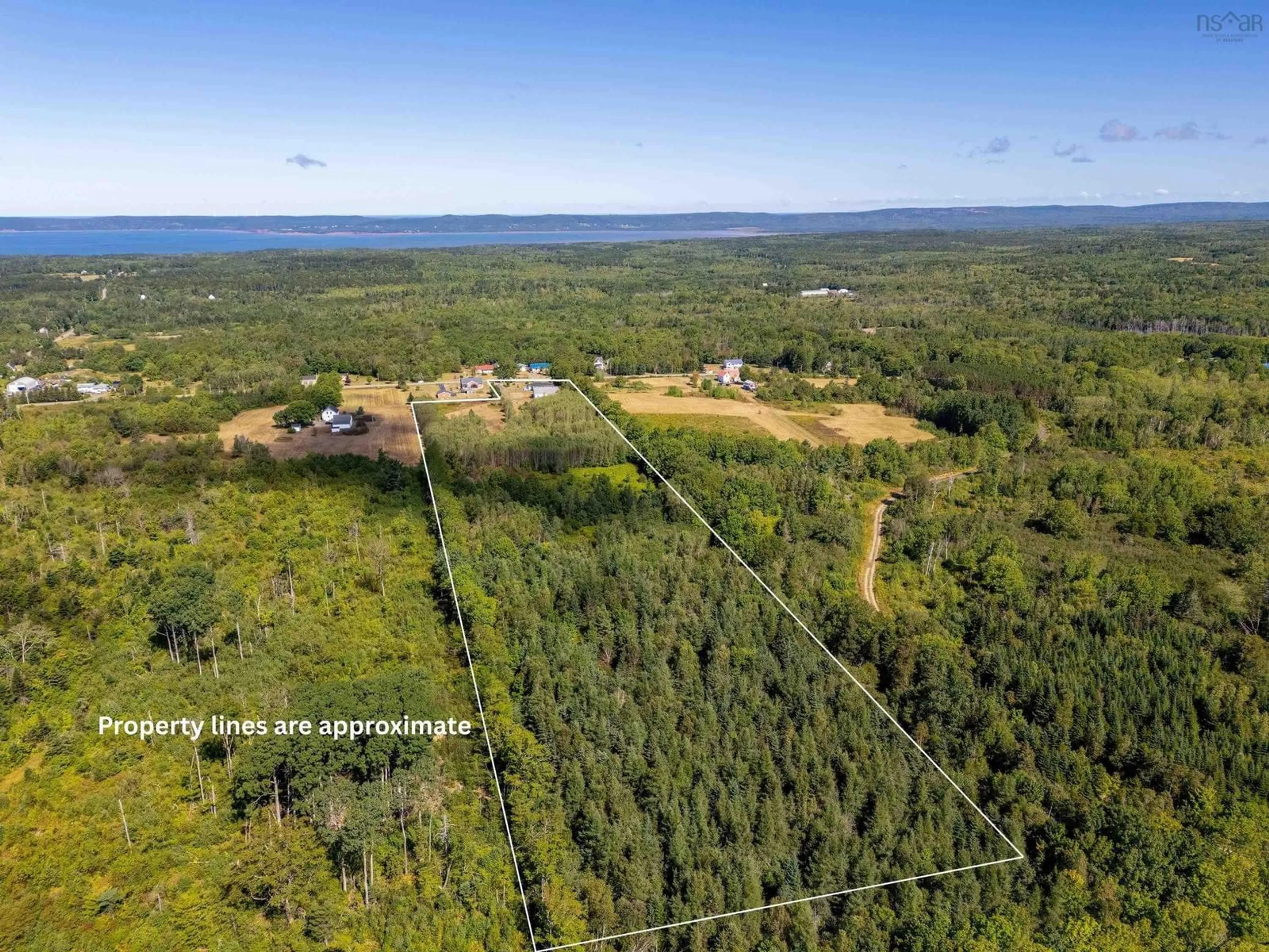 A pic from outside/outdoor area/front of a property/back of a property/a pic from drone, forest/trees view for 1084 Ridge Rd, North Range Nova Scotia B0W 1H0