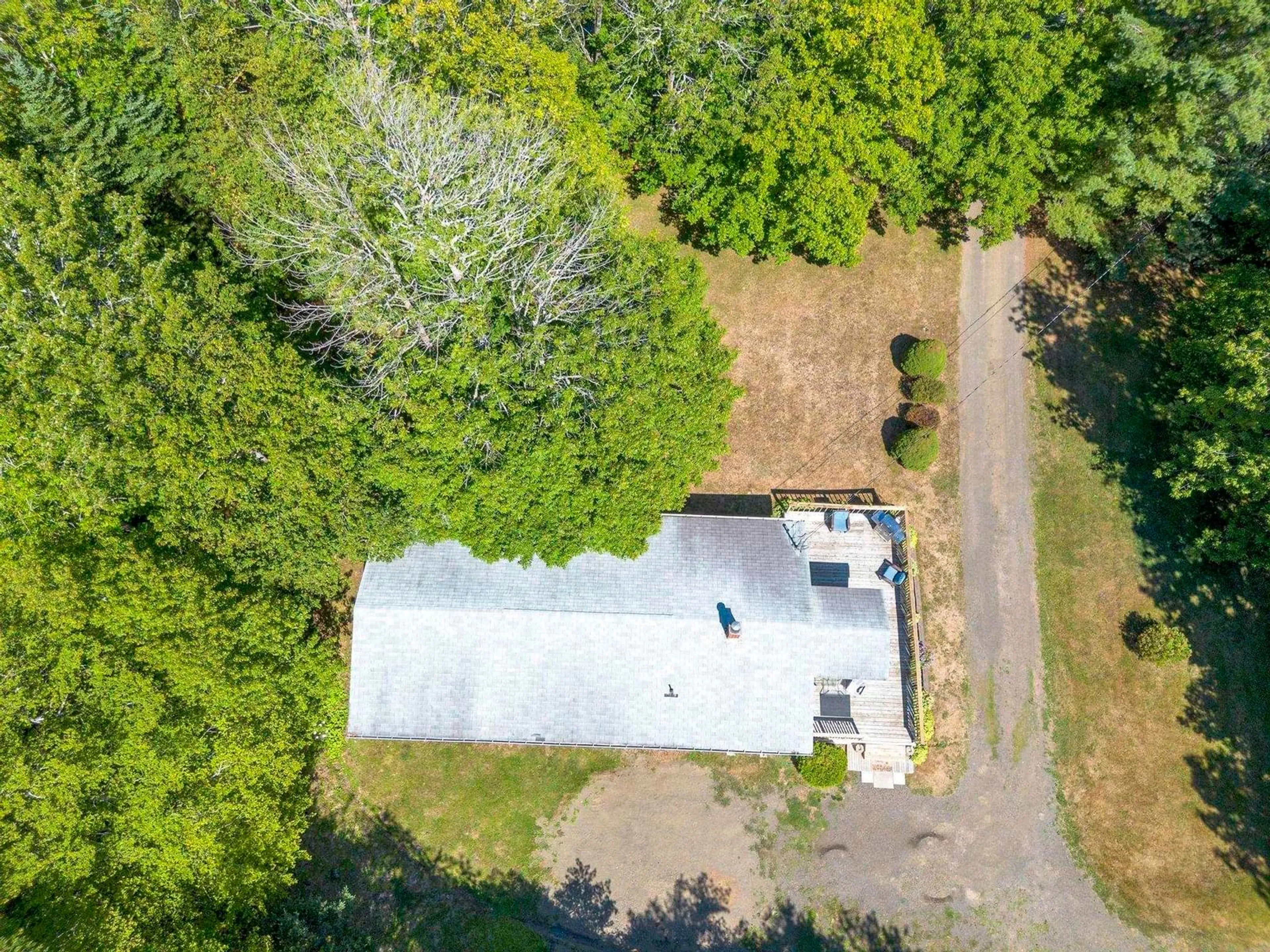 A pic from outside/outdoor area/front of a property/back of a property/a pic from drone, forest/trees view for 1037 Culloden Rd, Mount Pleasant Nova Scotia B0V 1A0