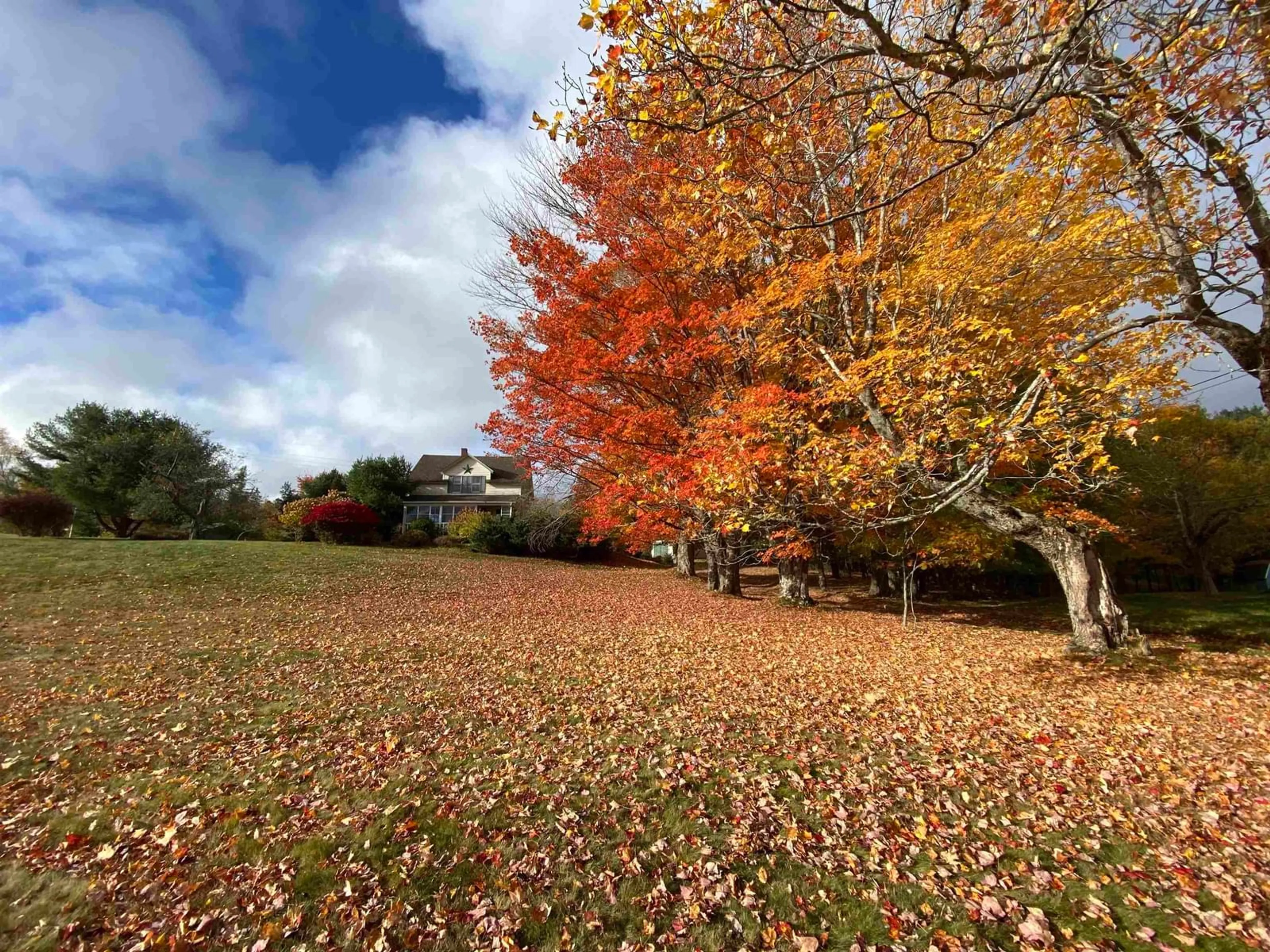 A pic from outside/outdoor area/front of a property/back of a property/a pic from drone, unknown for 380 Truro Heights Rd, Truro Heights Nova Scotia B6L 1X6
