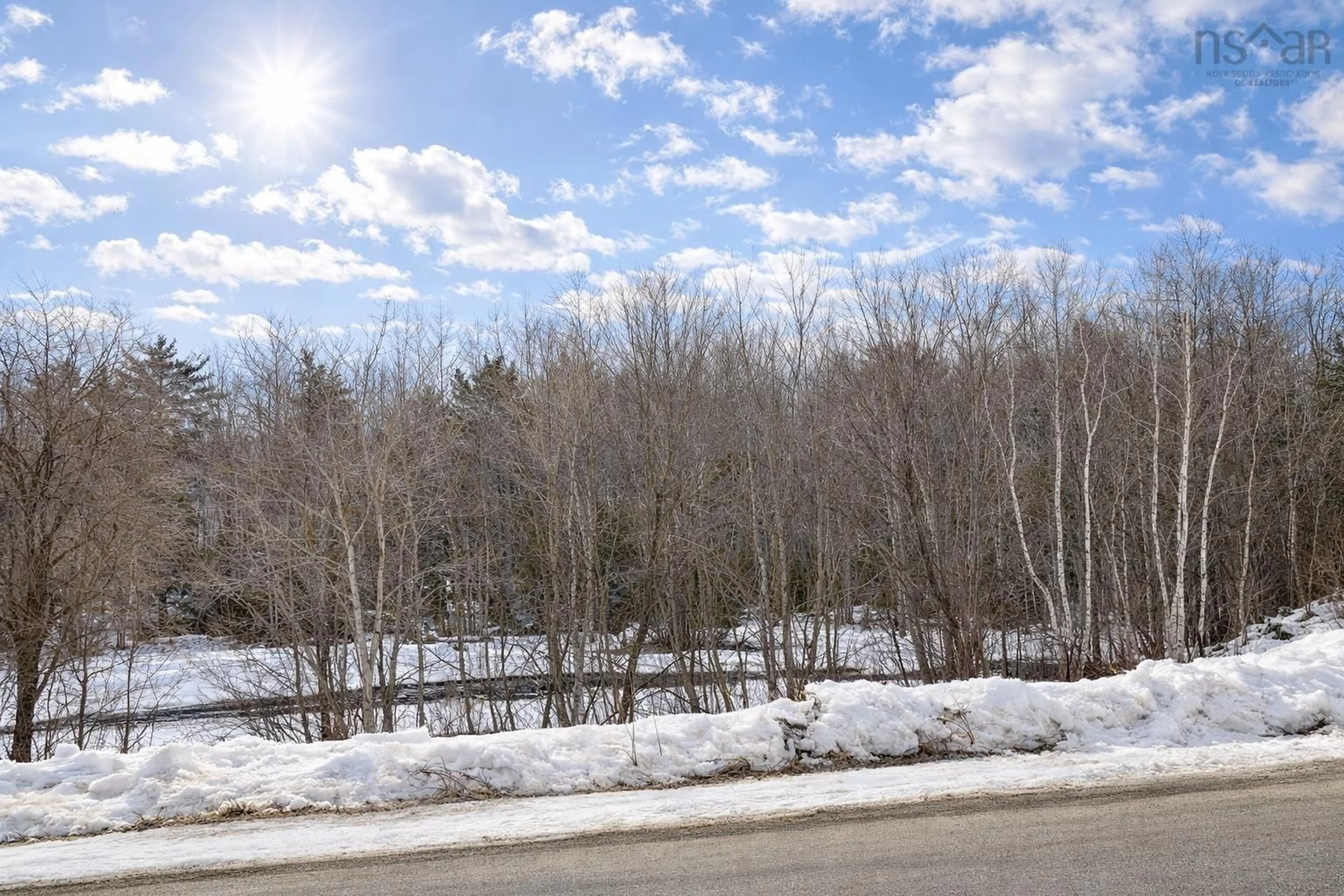 A pic from outside/outdoor area/front of a property/back of a property/a pic from drone, forest/trees view for 79 Shingle Mill Rd, Martins River Nova Scotia B0J 2E0