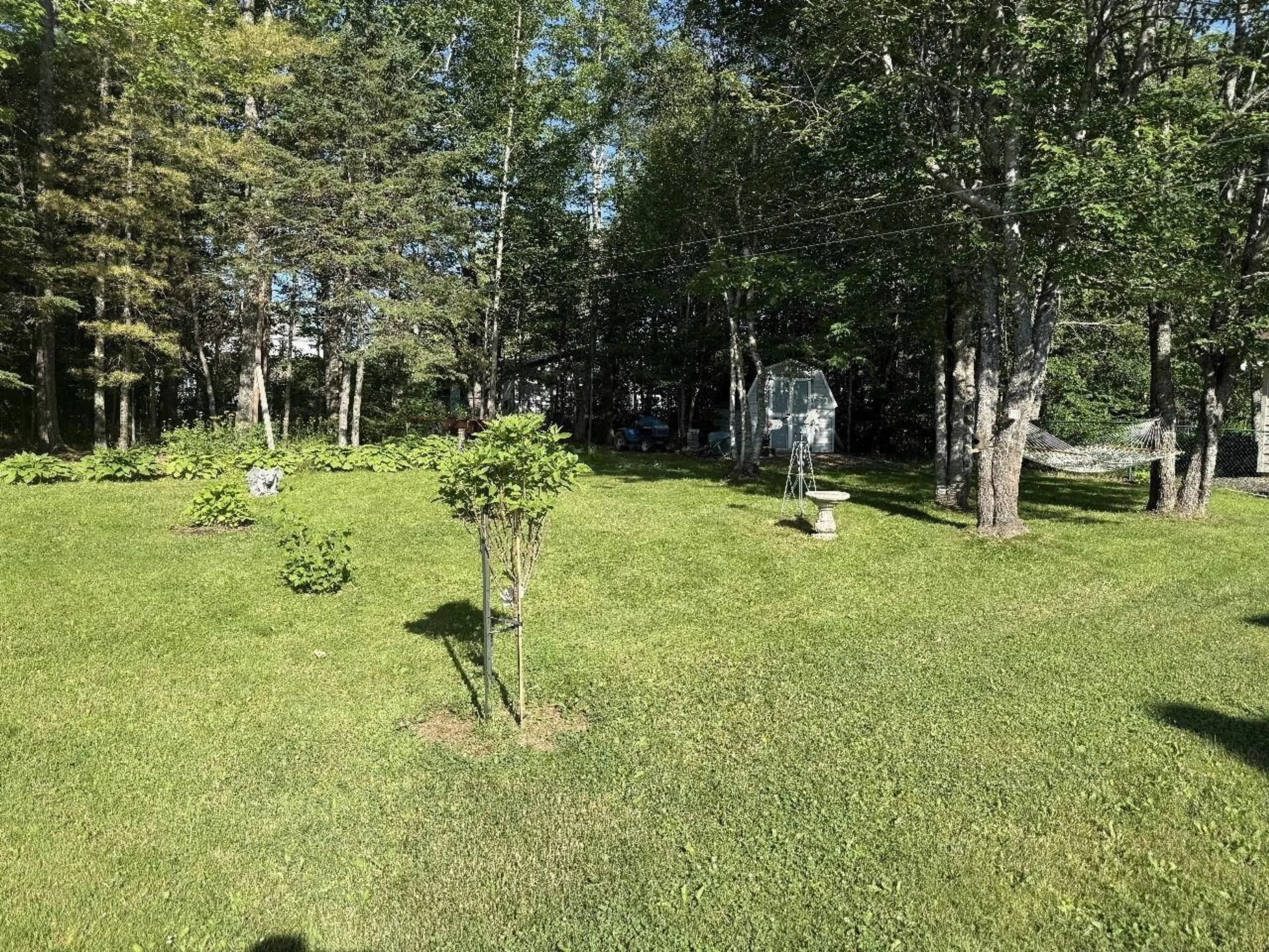 A pic from outside/outdoor area/front of a property/back of a property/a pic from drone, forest/trees view for 45 Shamrock Lane, Enfield Nova Scotia B2T 1C9