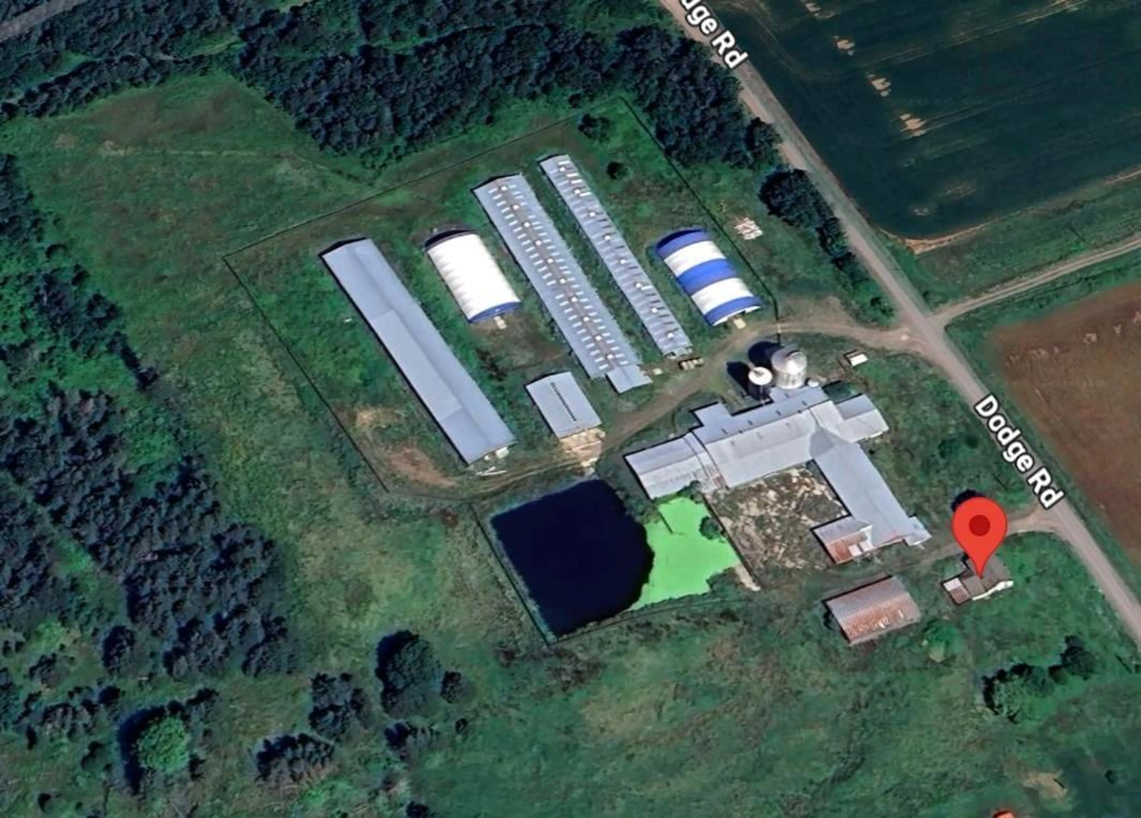 A pic from outside/outdoor area/front of a property/back of a property/a pic from drone, building for 1871 Dodge Rd, Forest Glade Nova Scotia B0P 1R0