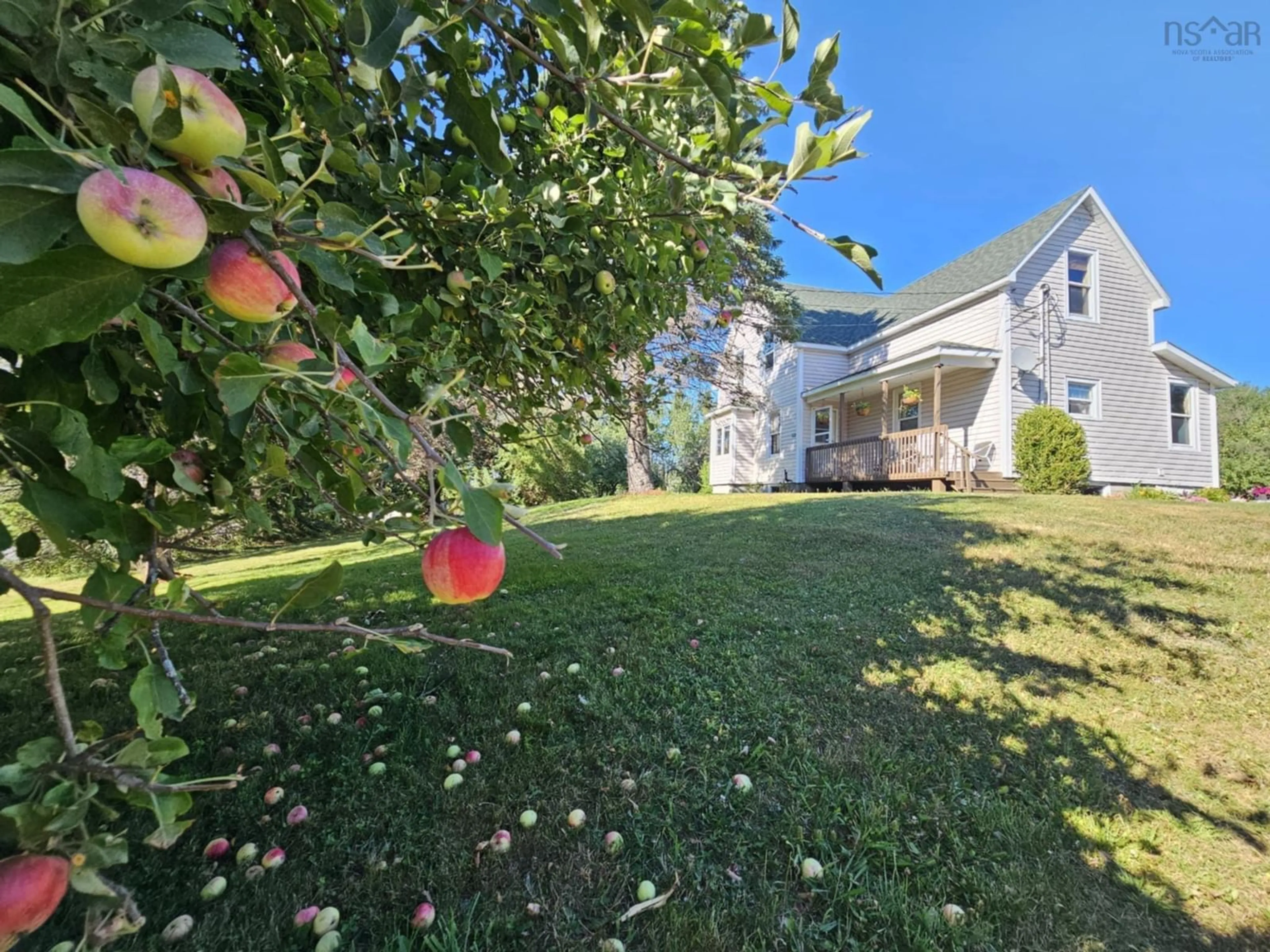 A pic from outside/outdoor area/front of a property/back of a property/a pic from drone, street for 2661 Foxbrook Rd, Westville Nova Scotia B0K 2A0