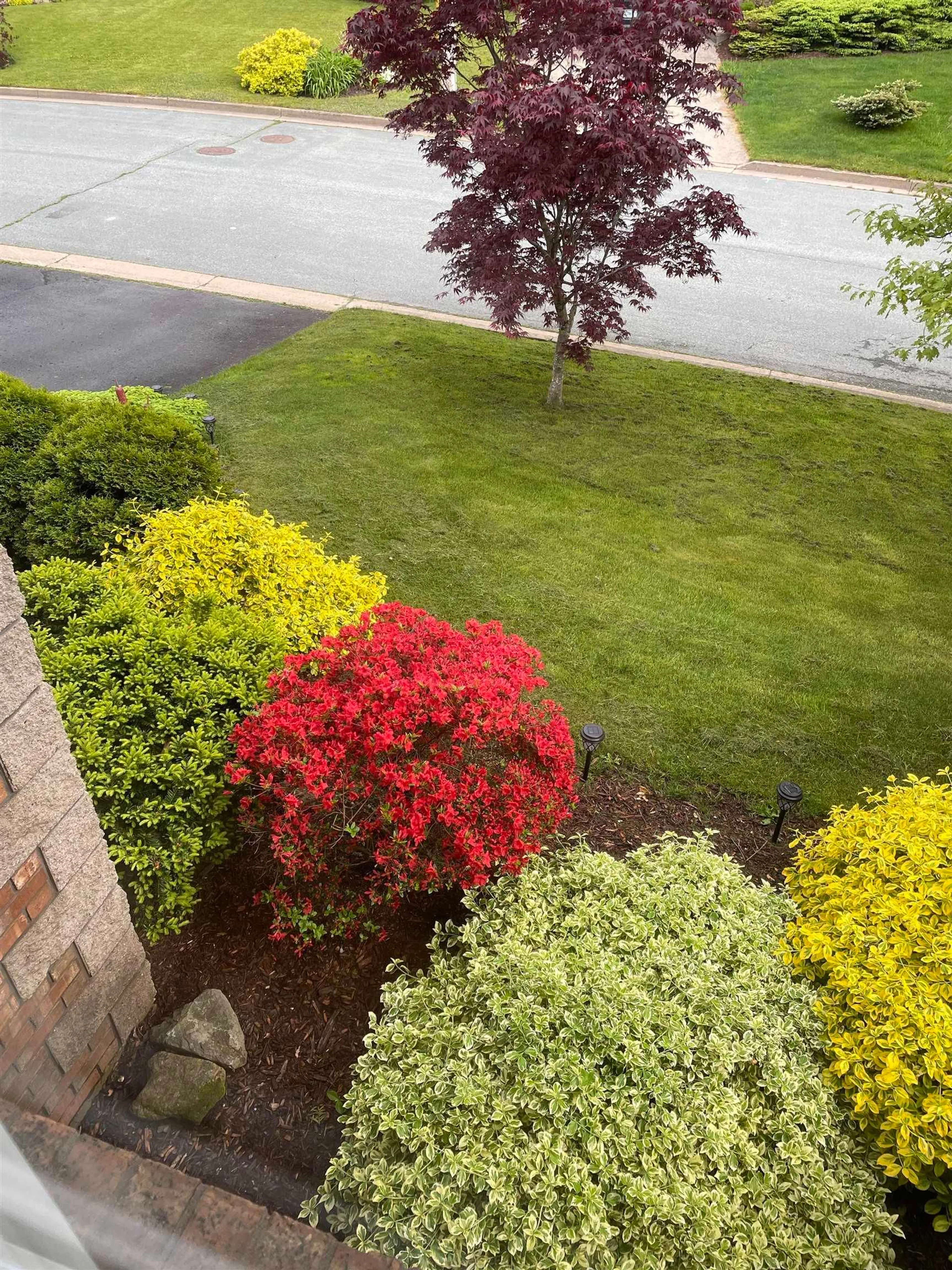 A pic from outside/outdoor area/front of a property/back of a property/a pic from drone, water/lake/river/ocean view for 6 Caytyon Crt, Dartmouth Nova Scotia B2X 3T9