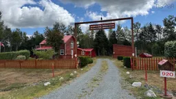 history photo preview