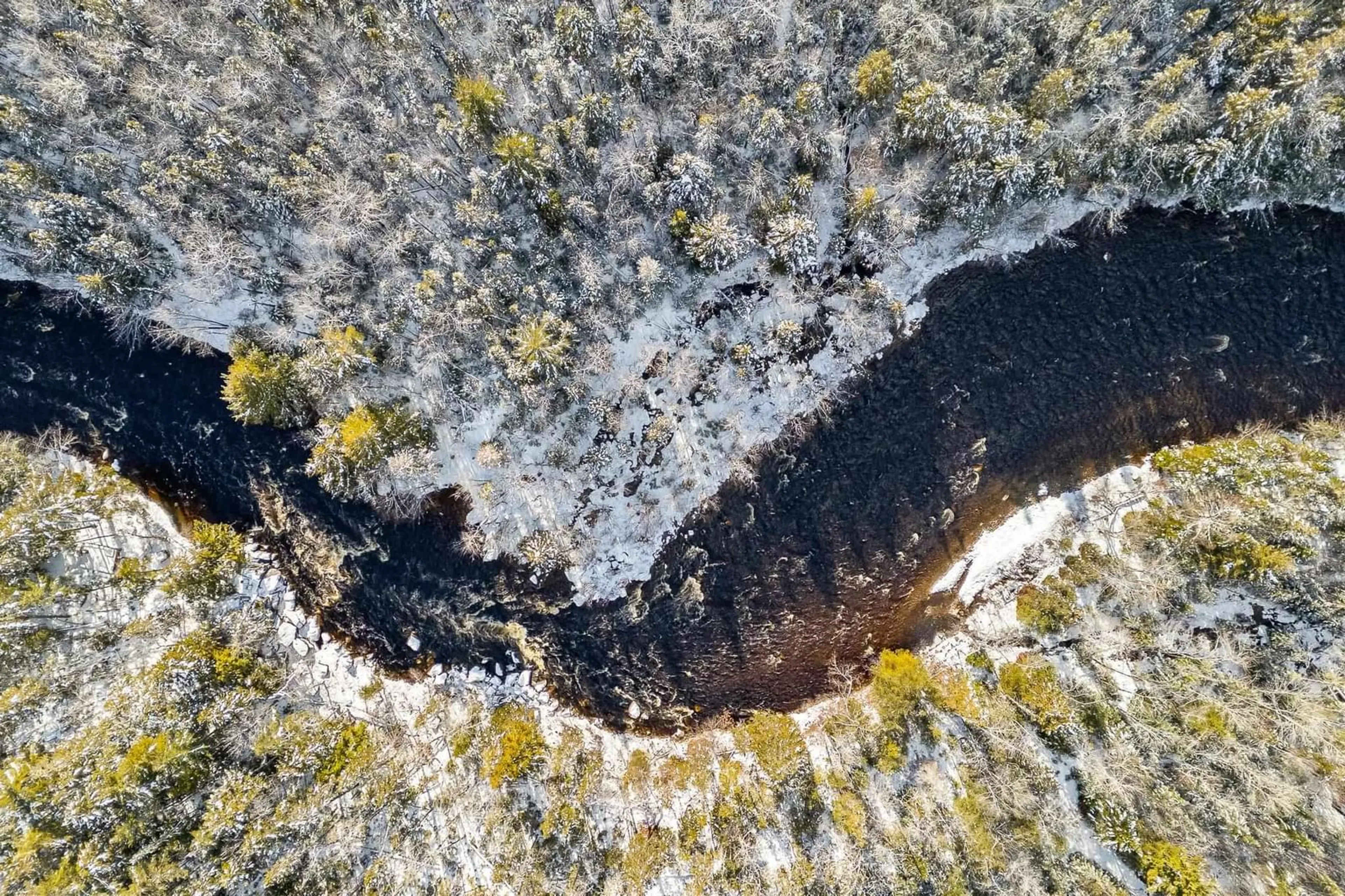 A pic from outside/outdoor area/front of a property/back of a property/a pic from drone, forest/trees view for Stamping Mill Lane #Lot 7, Beech Hill Nova Scotia B0J 1K0