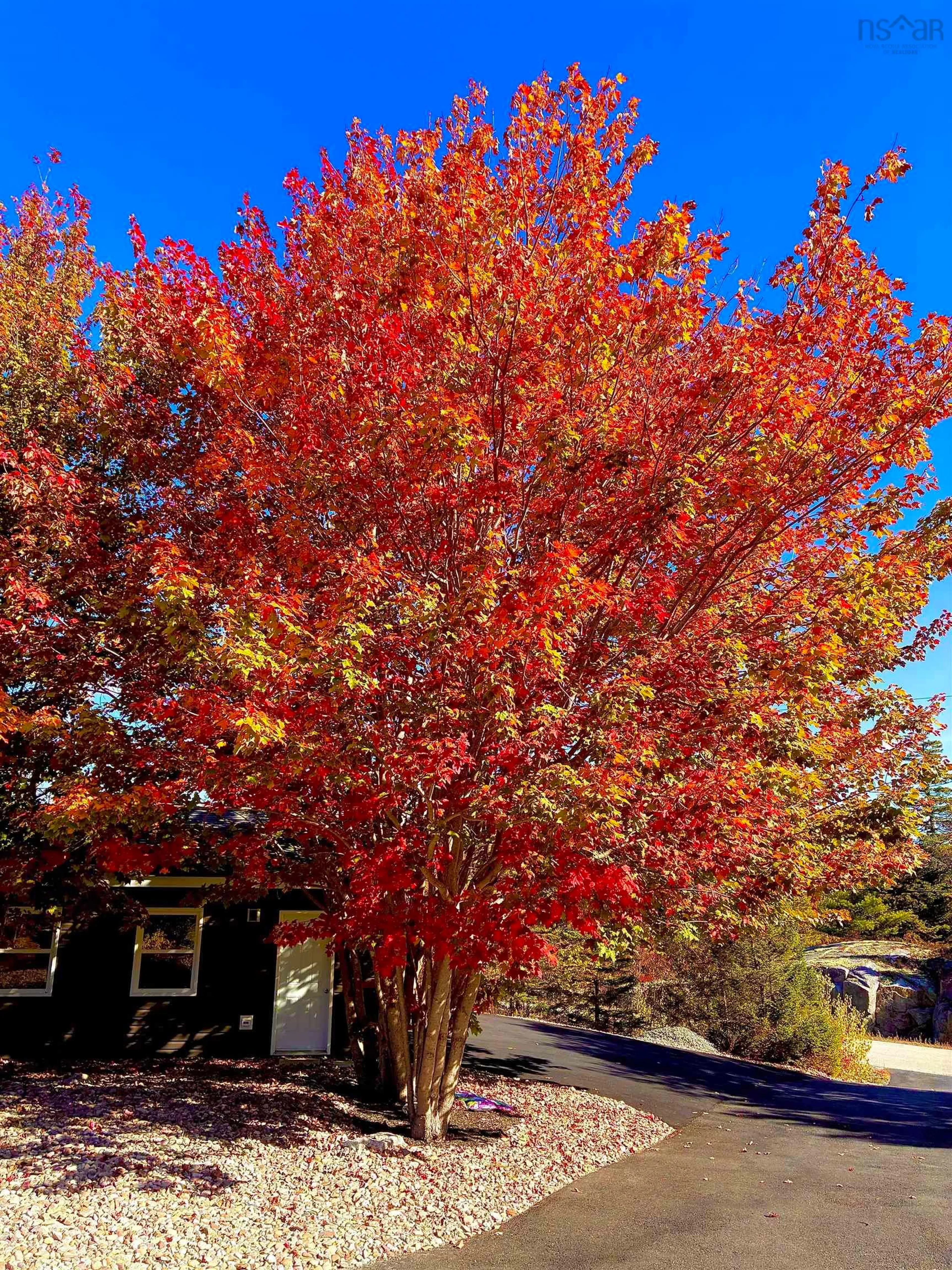 Unknown for 40 Sutherland Dr Dr, Fall River Nova Scotia B2T 1M1