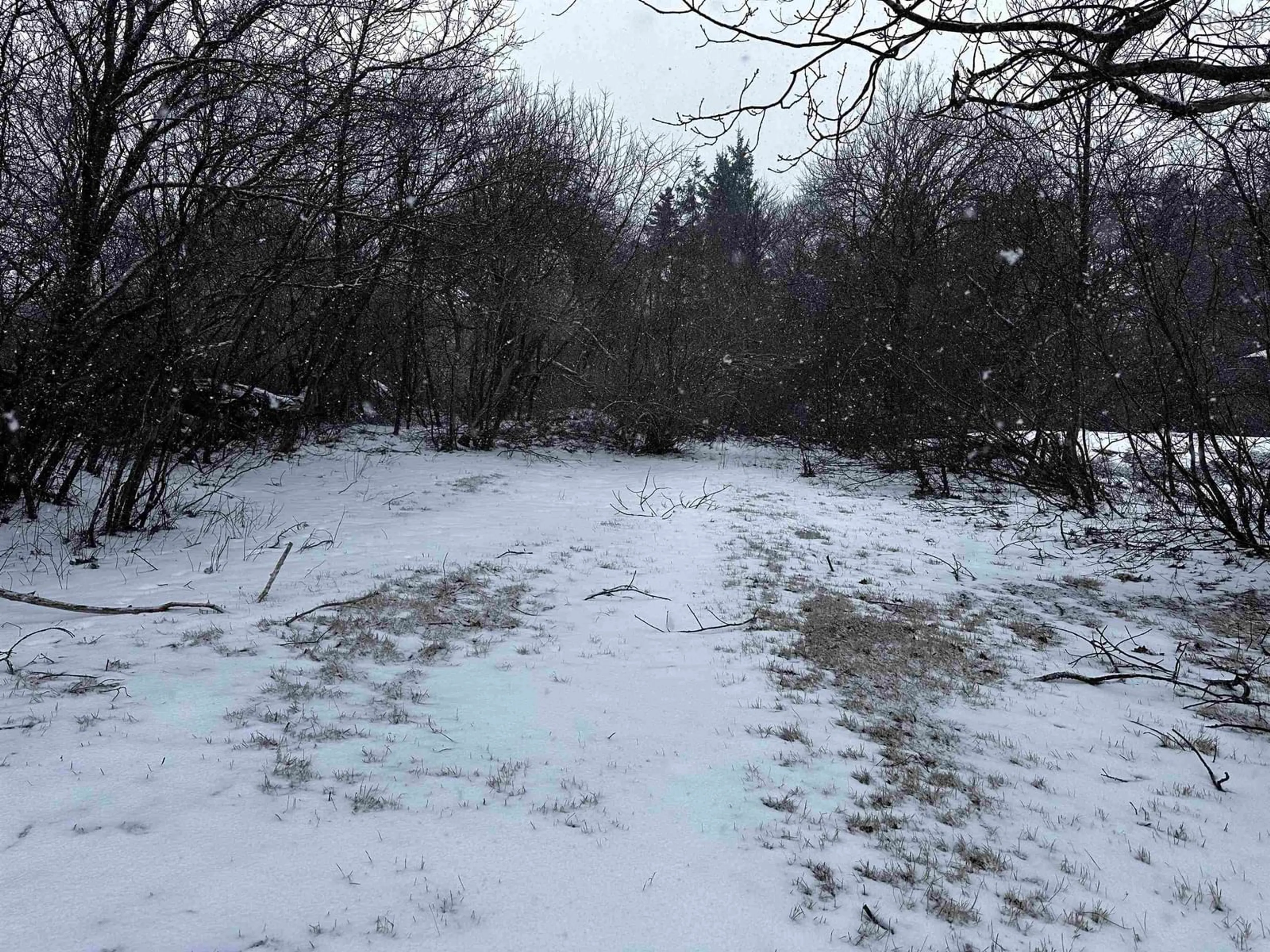 Blurry image for 24 Reserve St, Glace Bay Nova Scotia B1A 4V8