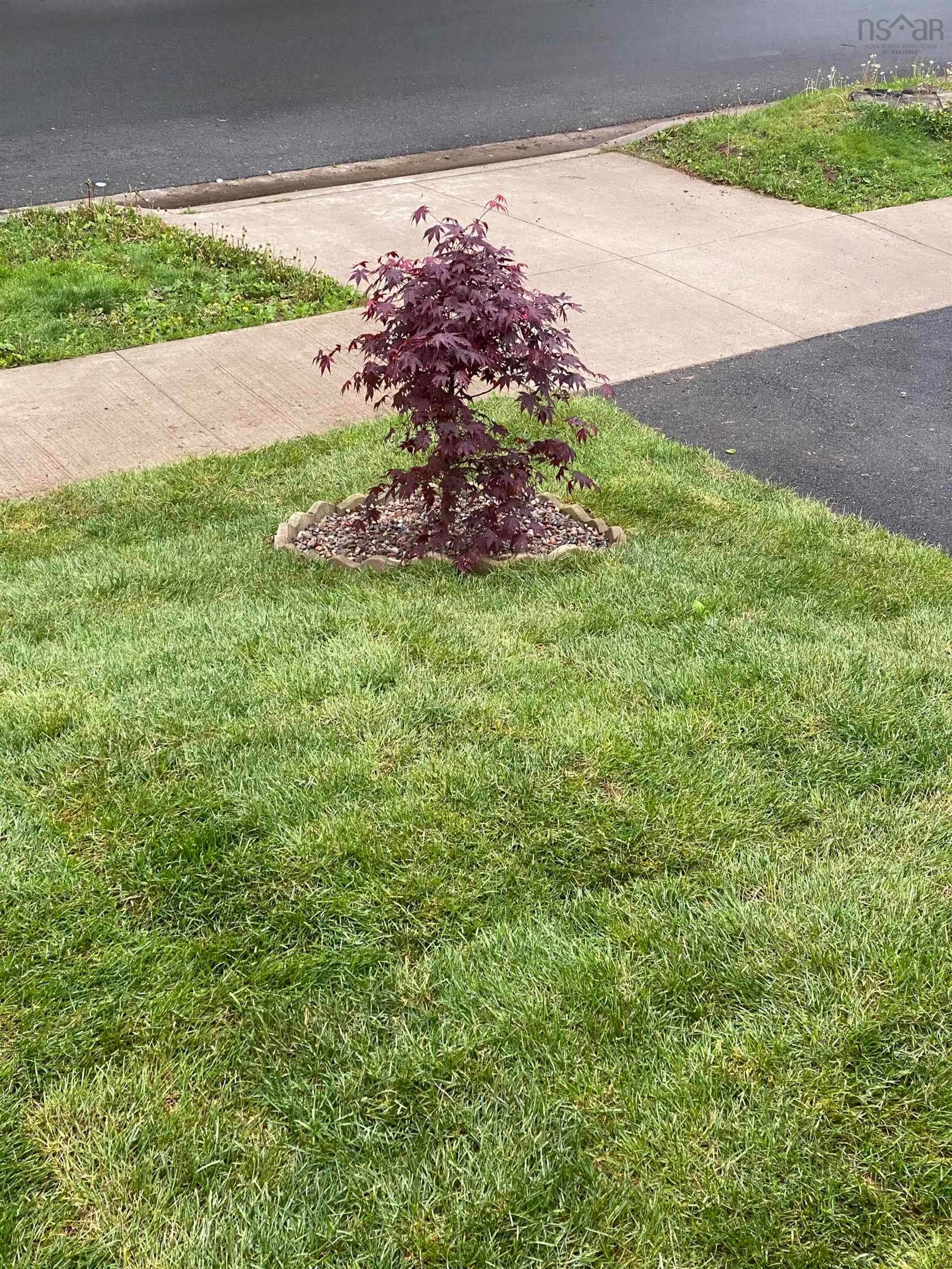 A pic from outside/outdoor area/front of a property/back of a property/a pic from drone, street for 2981 Connolly St, Halifax Nova Scotia B3L 3N8