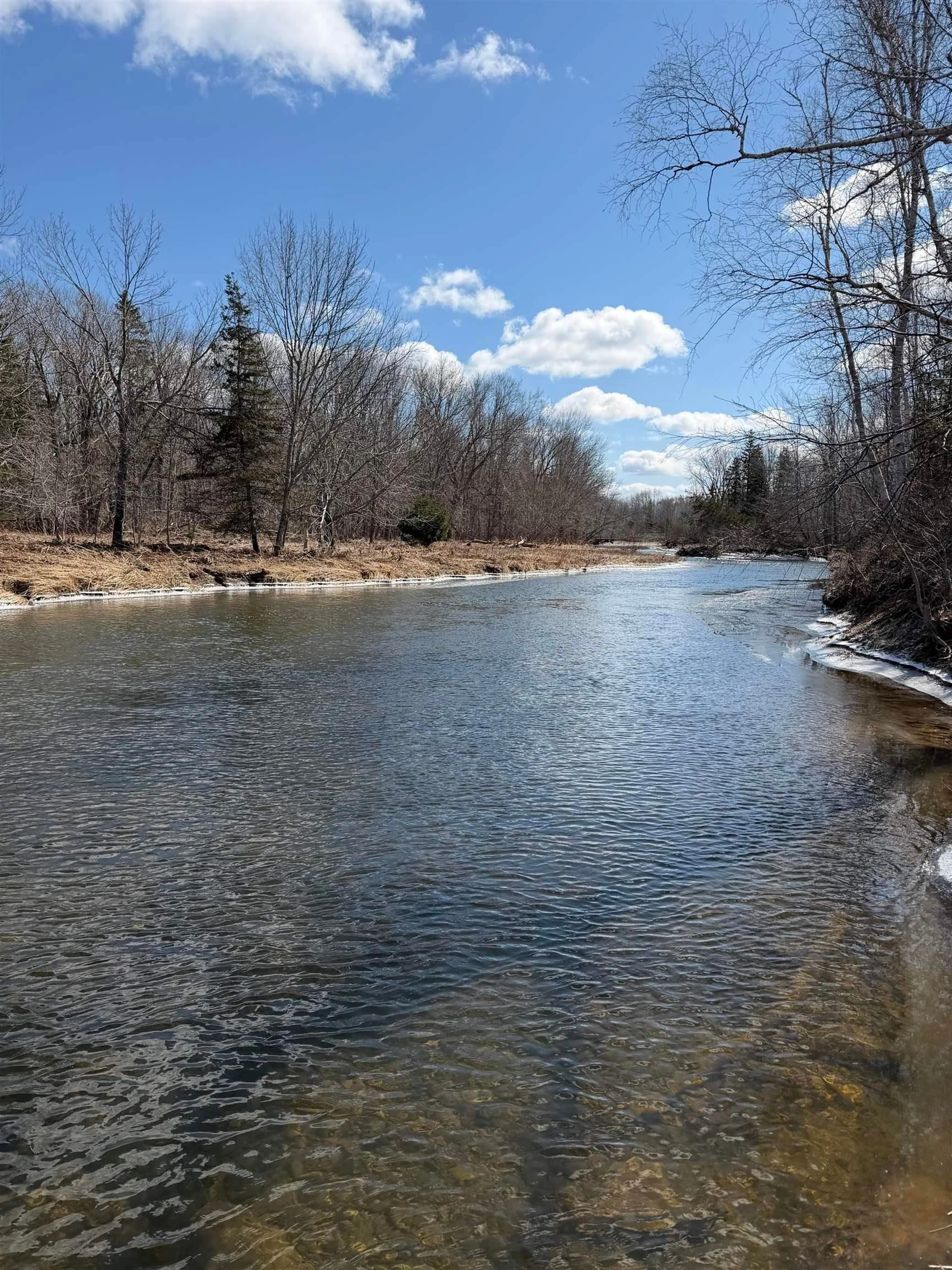 Blurry image for 3188 Piedmont Valley Rd, Lower Barneys River Nova Scotia B0K 1G0